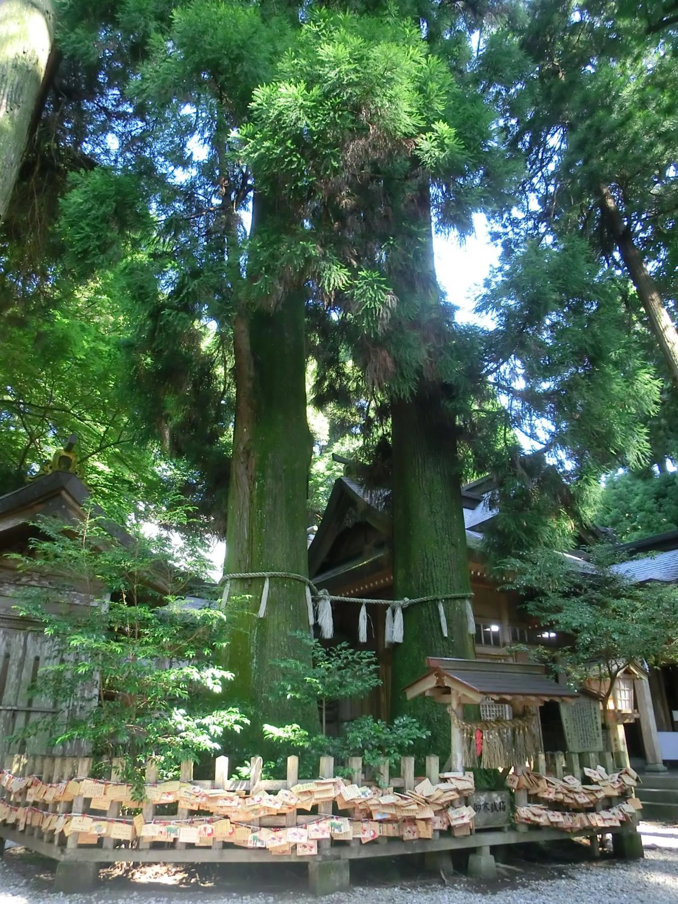 Nearby landmark in Solest Takachiho Hotel