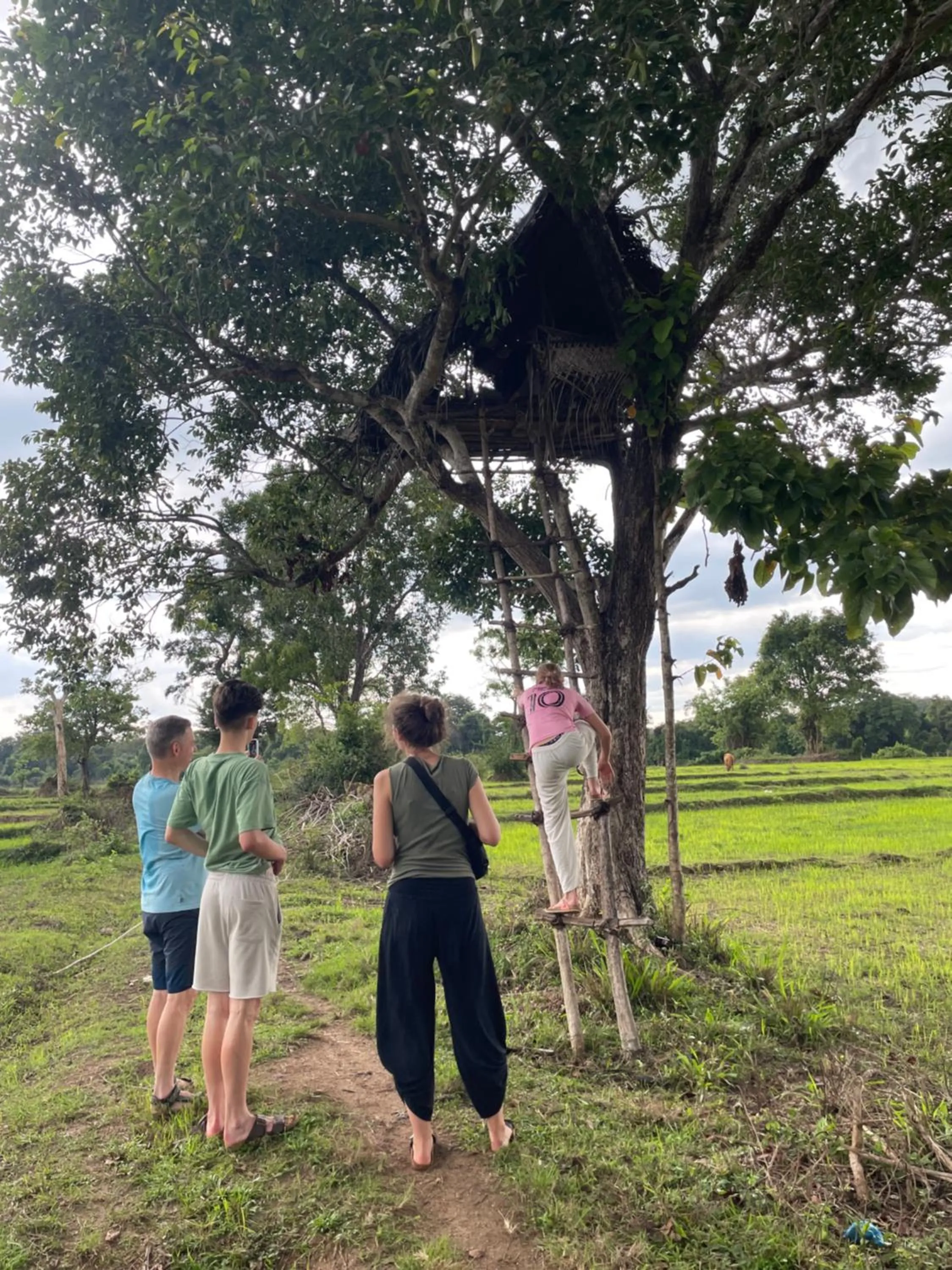 Natural landscape in Sigiri Shen Residence