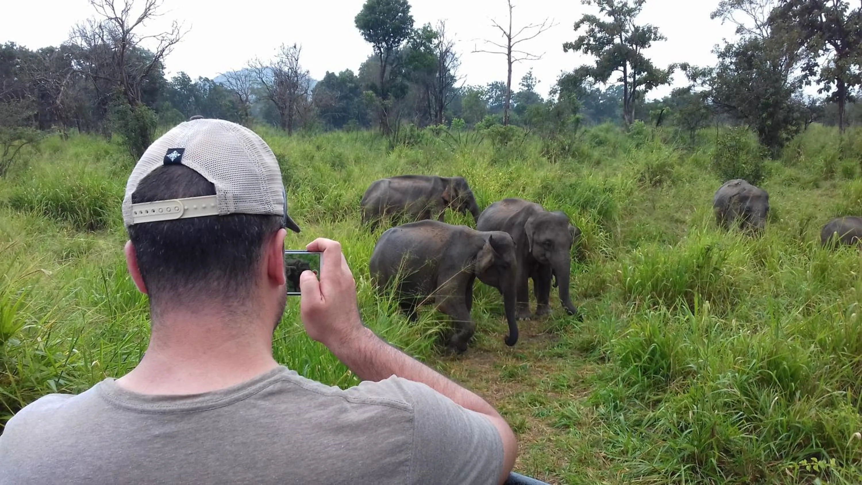Animals in Sigiri Shen Residence