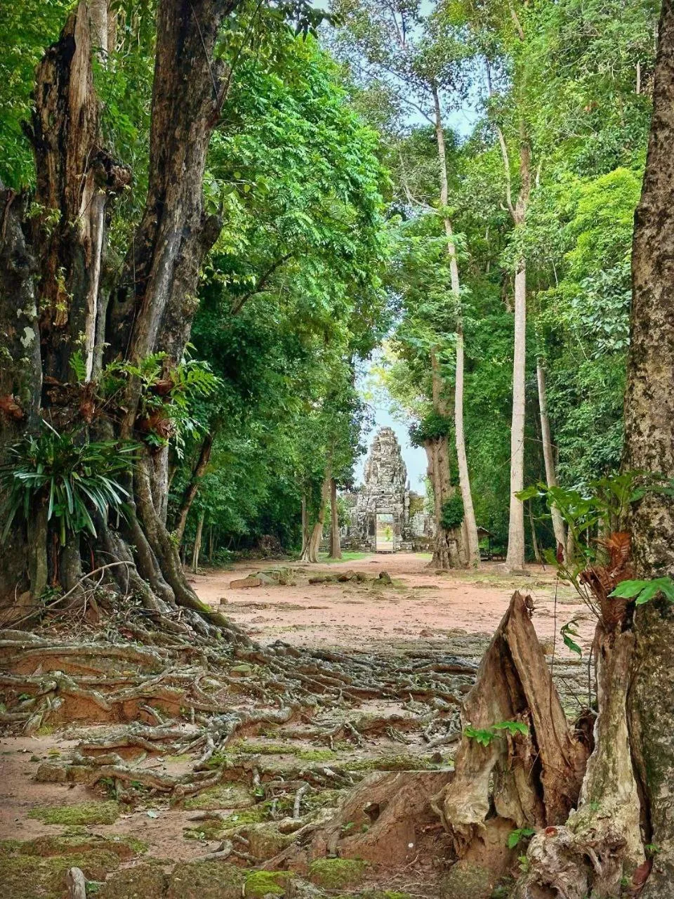 On site in Memoire Palace Resort & Spa