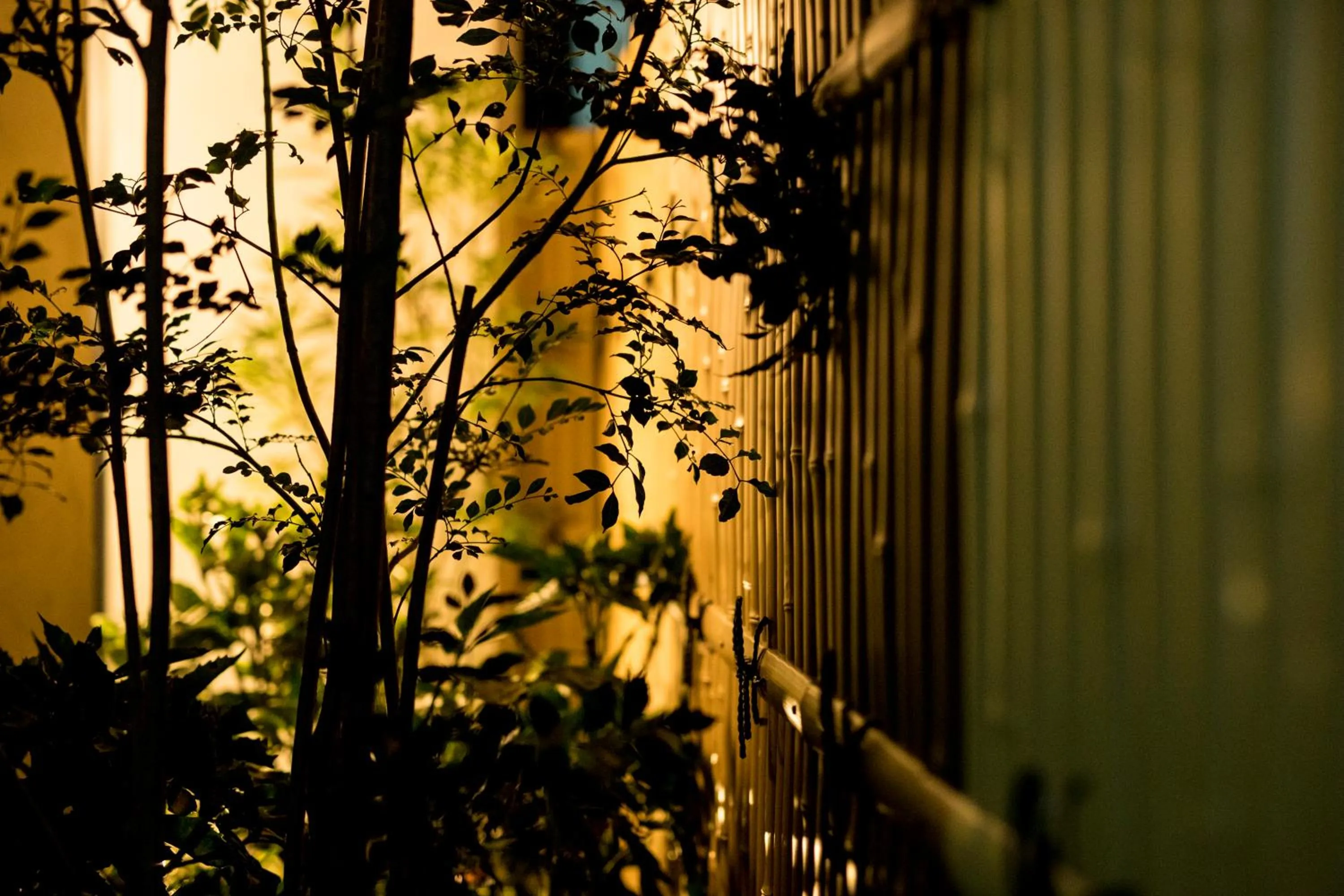 Property building in MUSUBI HOTEL MACHIYA Haruyoshi