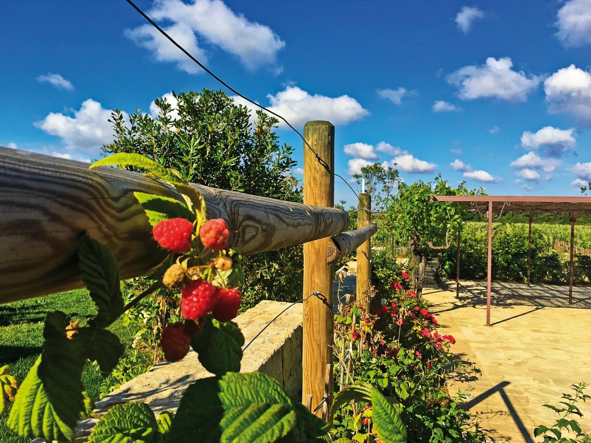 Garden in Agriturismo Vigna Corallo