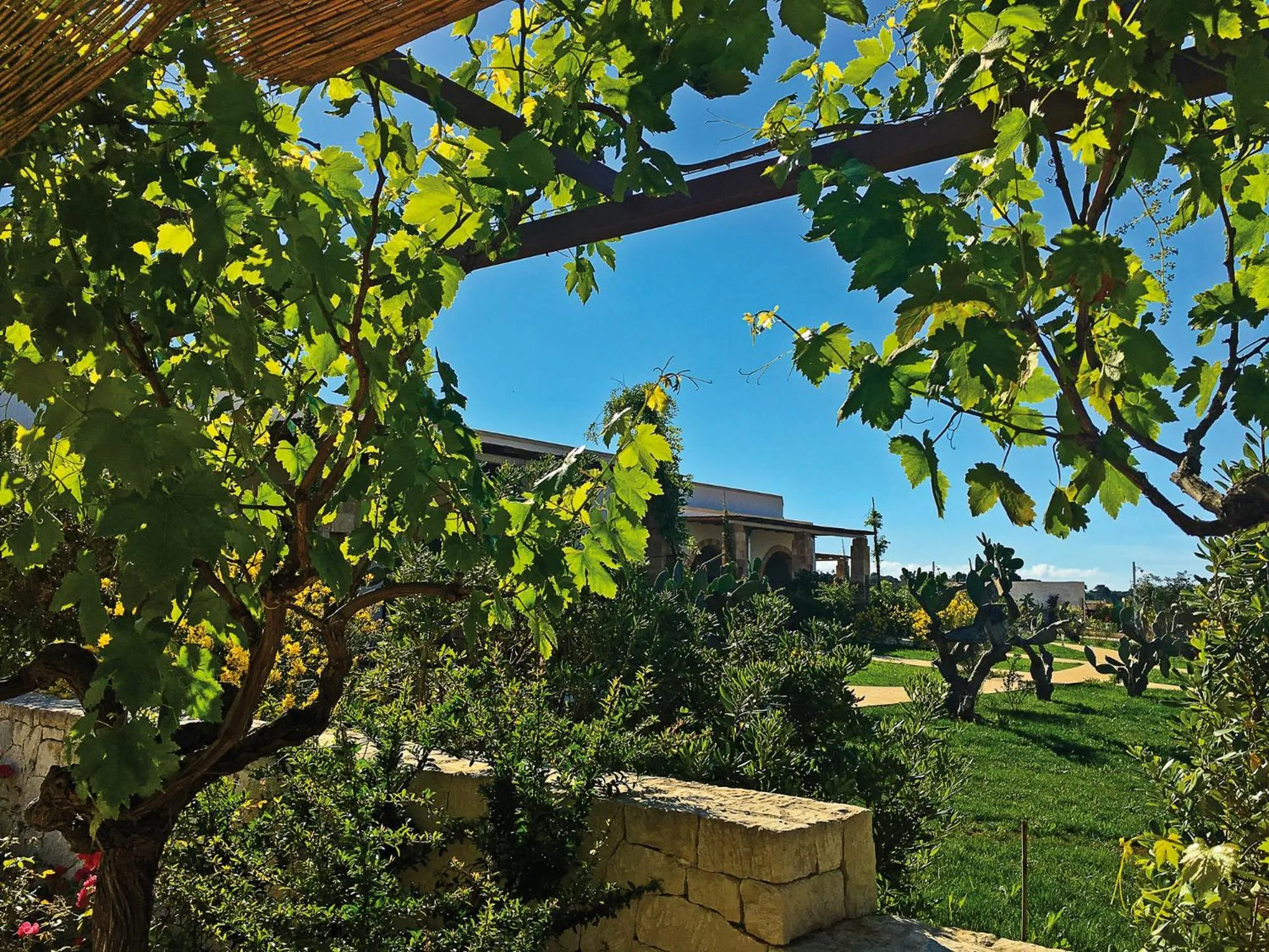 Garden in Agriturismo Vigna Corallo