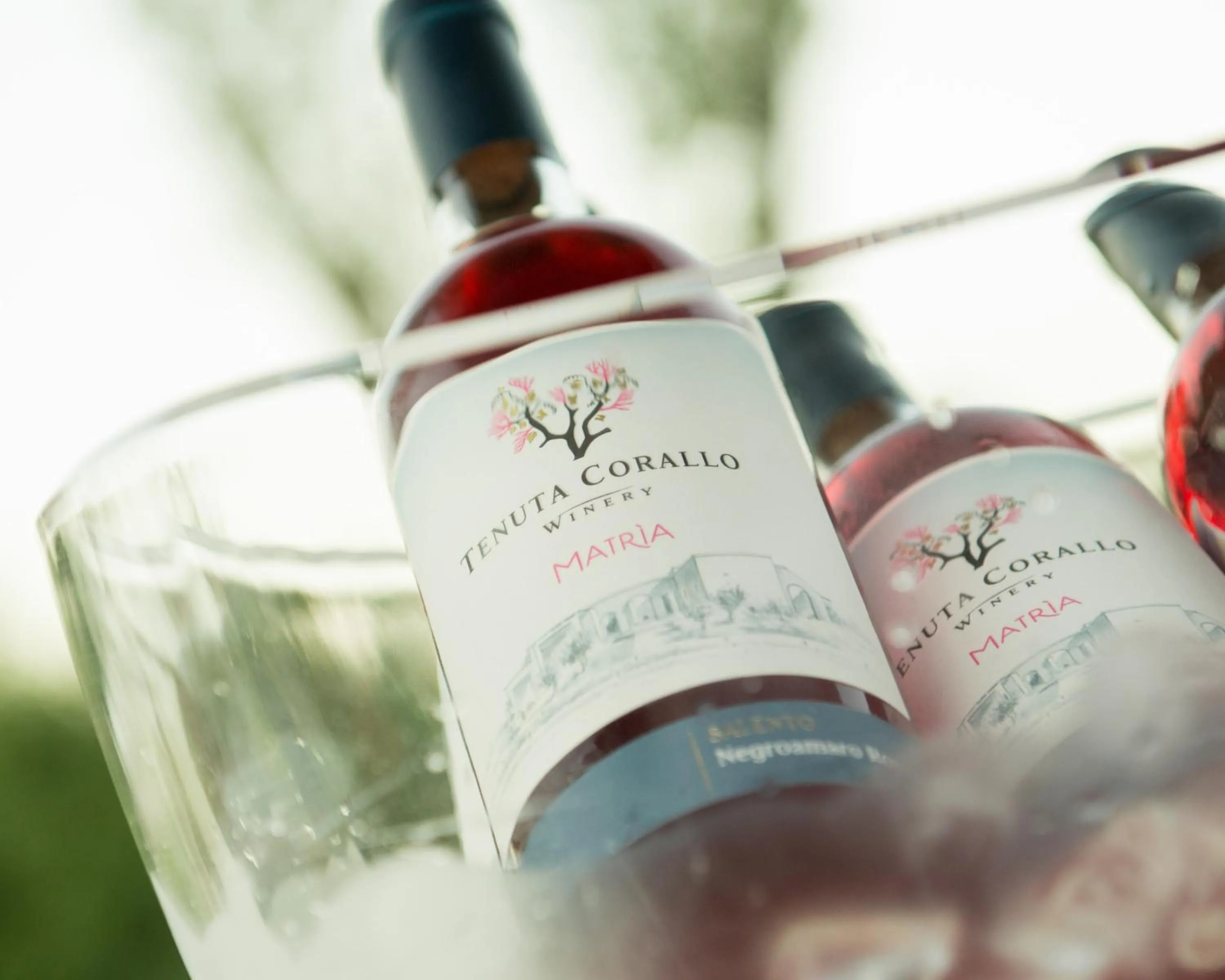 Alcoholic drinks in Agriturismo Vigna Corallo