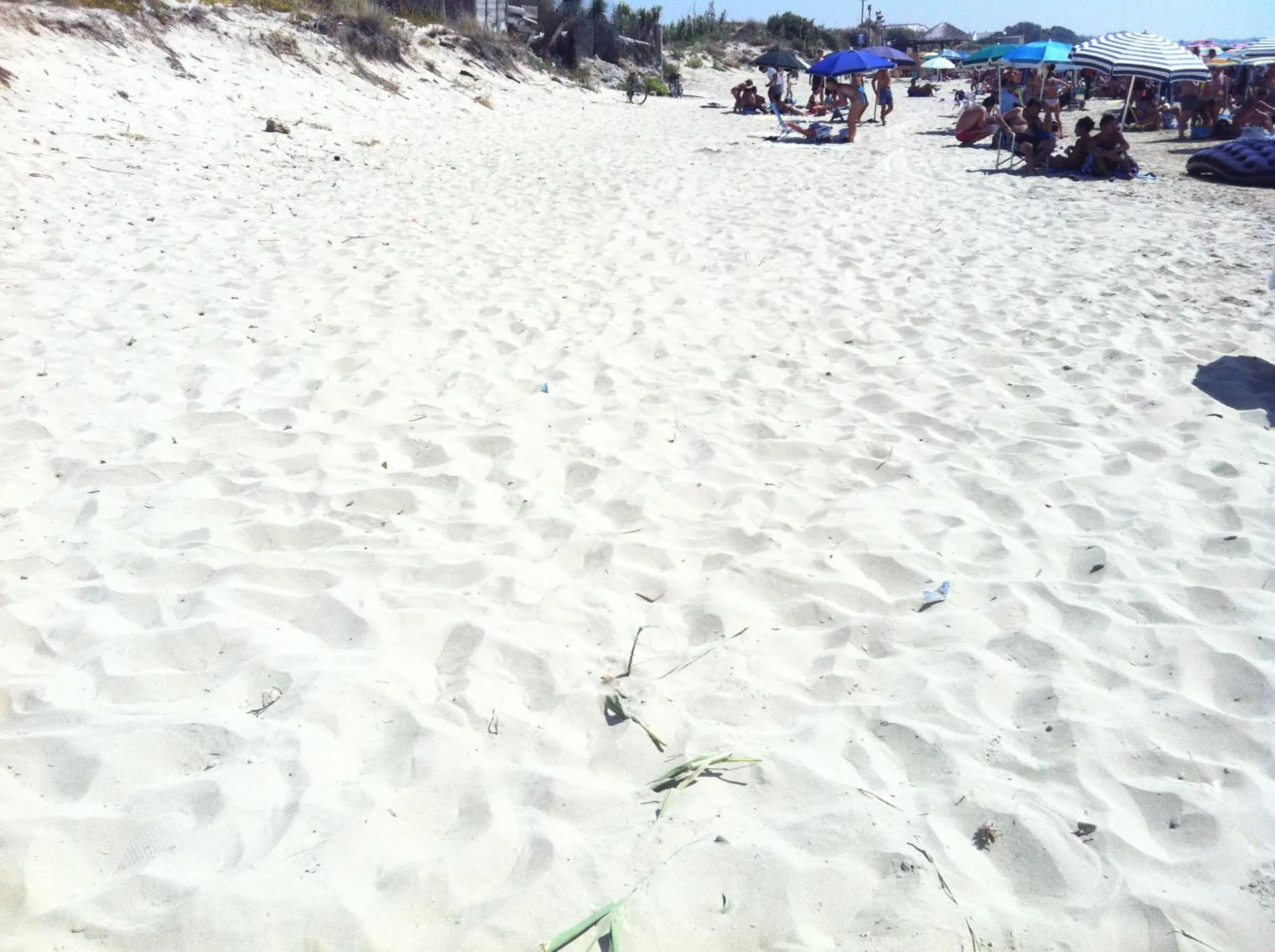 Beach in B&B Franziska Mare