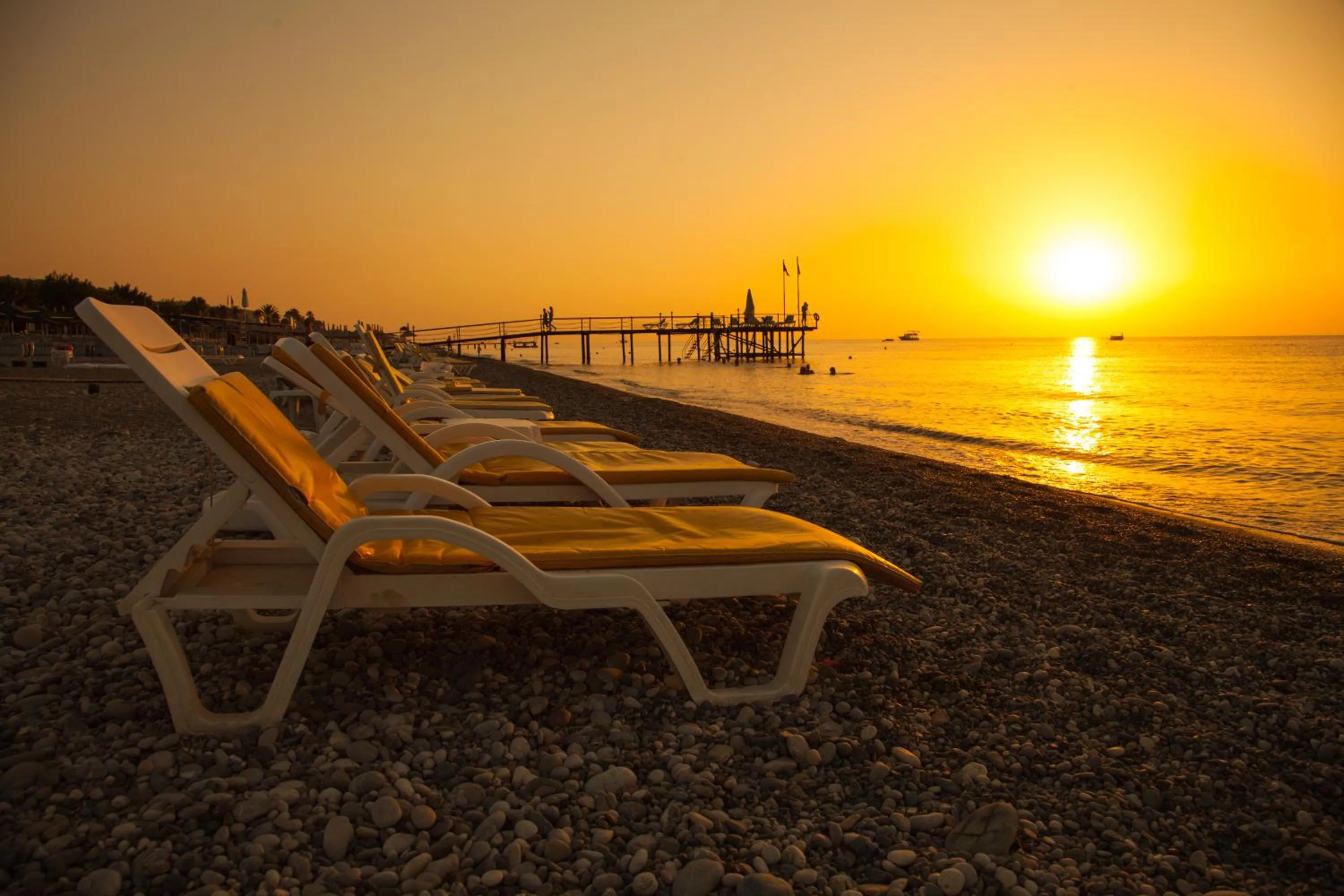 View (from property/room) in Pine House by Werde Hotels