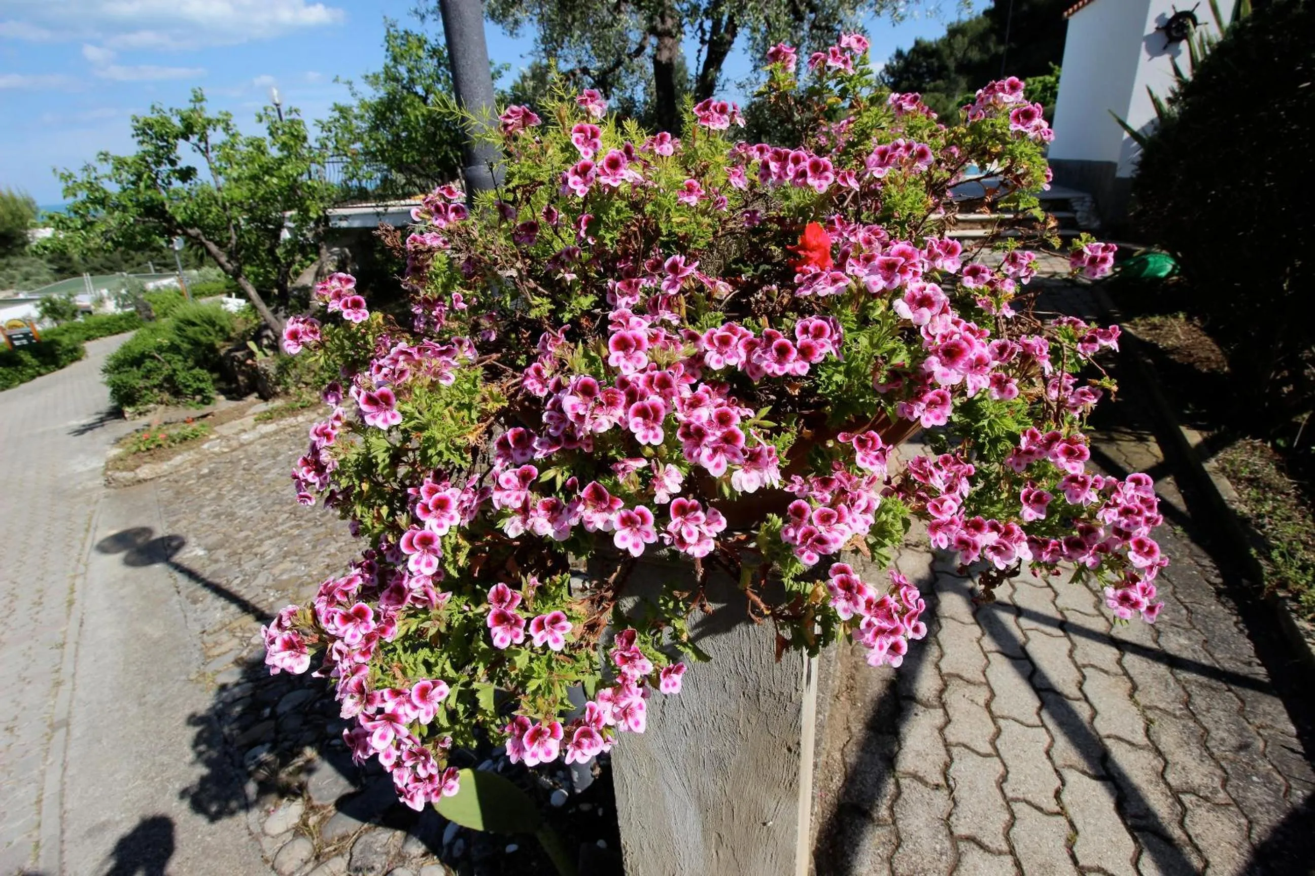 Activities in Villaggio Passo Dell'Arciprete