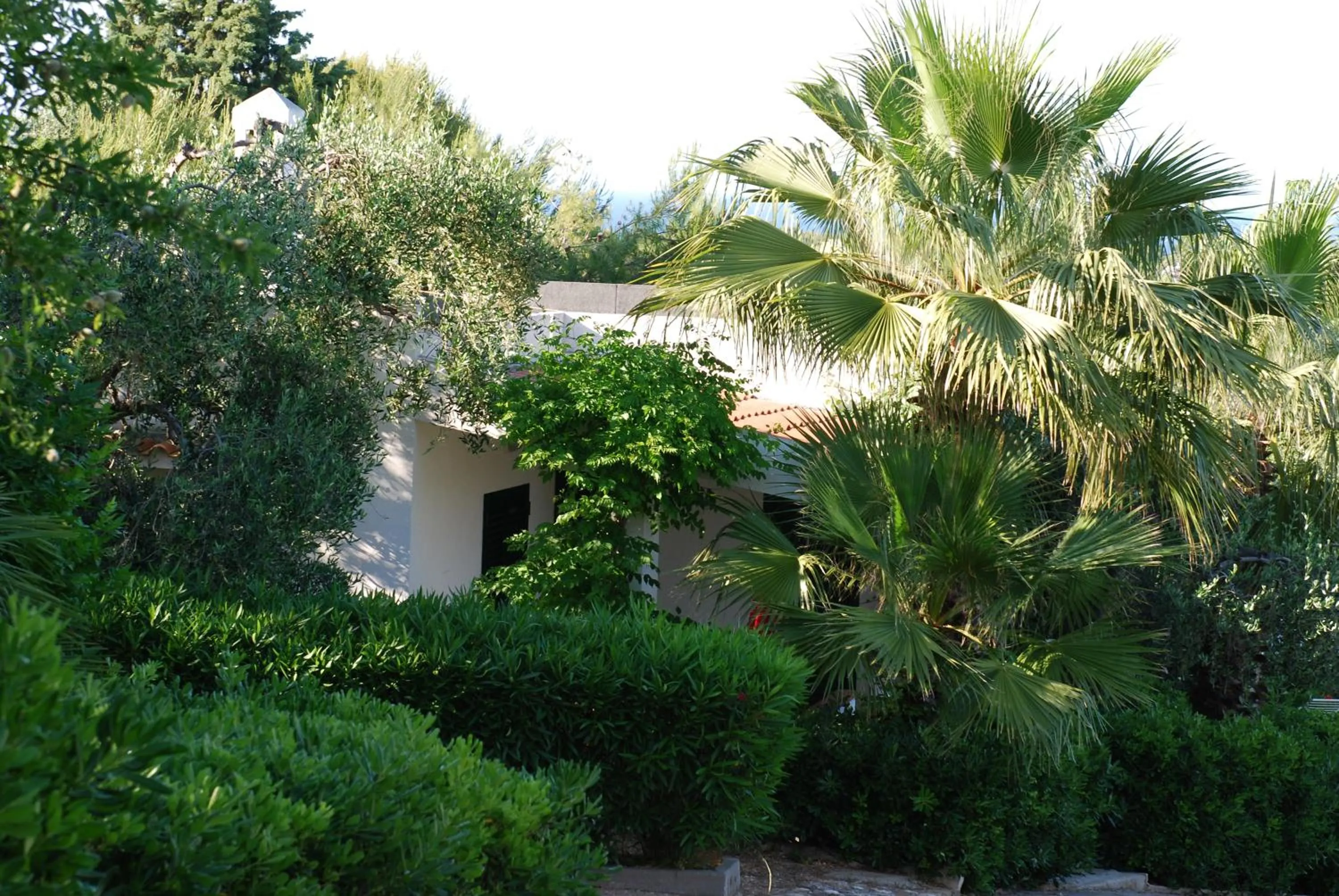 Floor plan in Villaggio Passo Dell'Arciprete