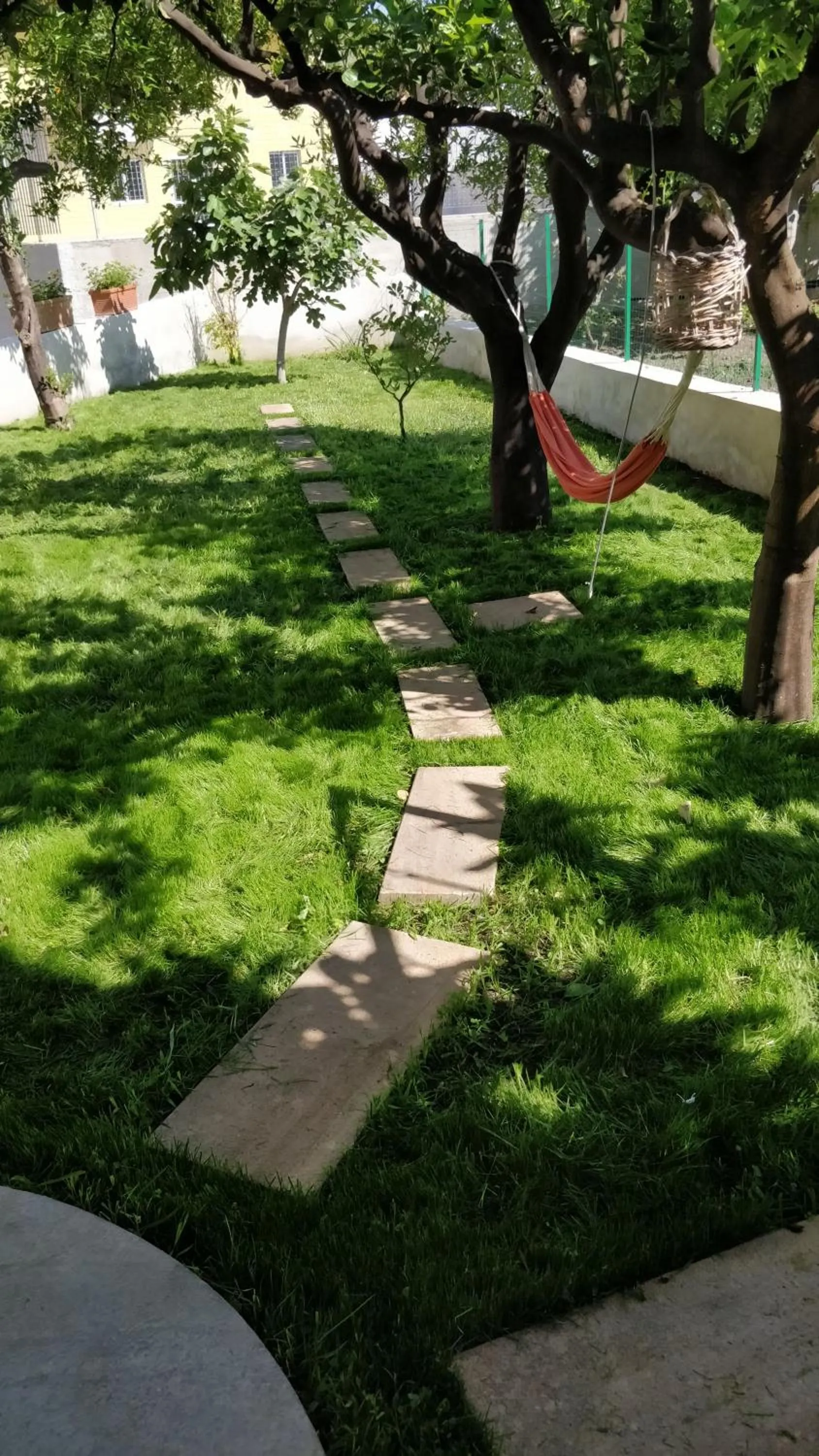 Spring in Nonna Francesca