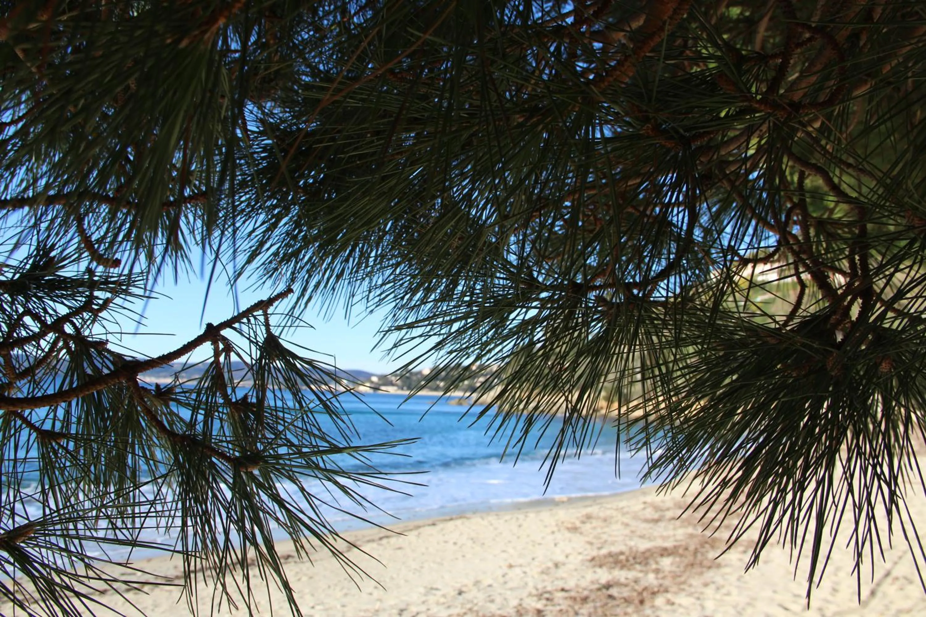 Activities in Hôtel de La Fossette