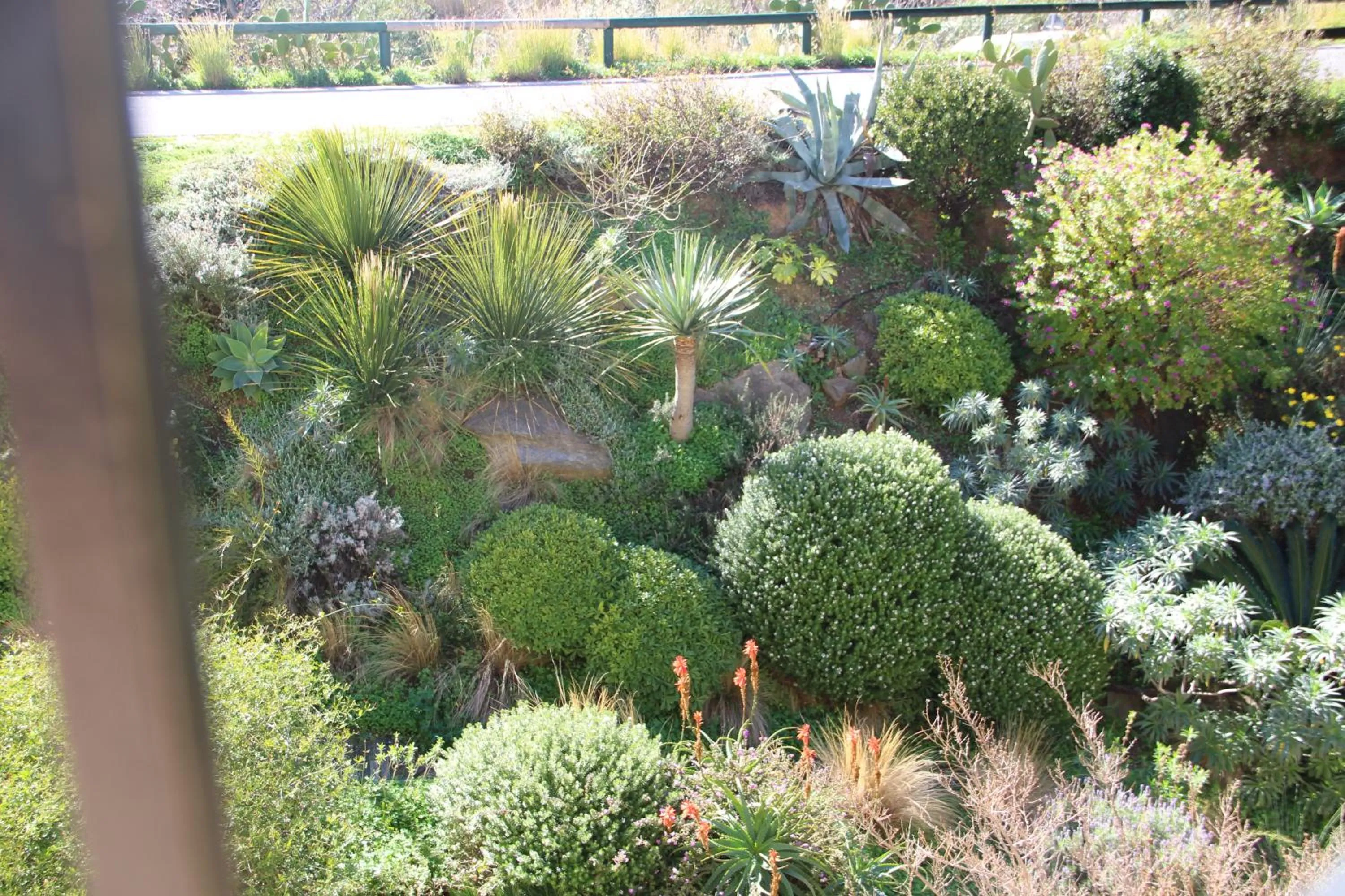 Garden in Hôtel de La Fossette