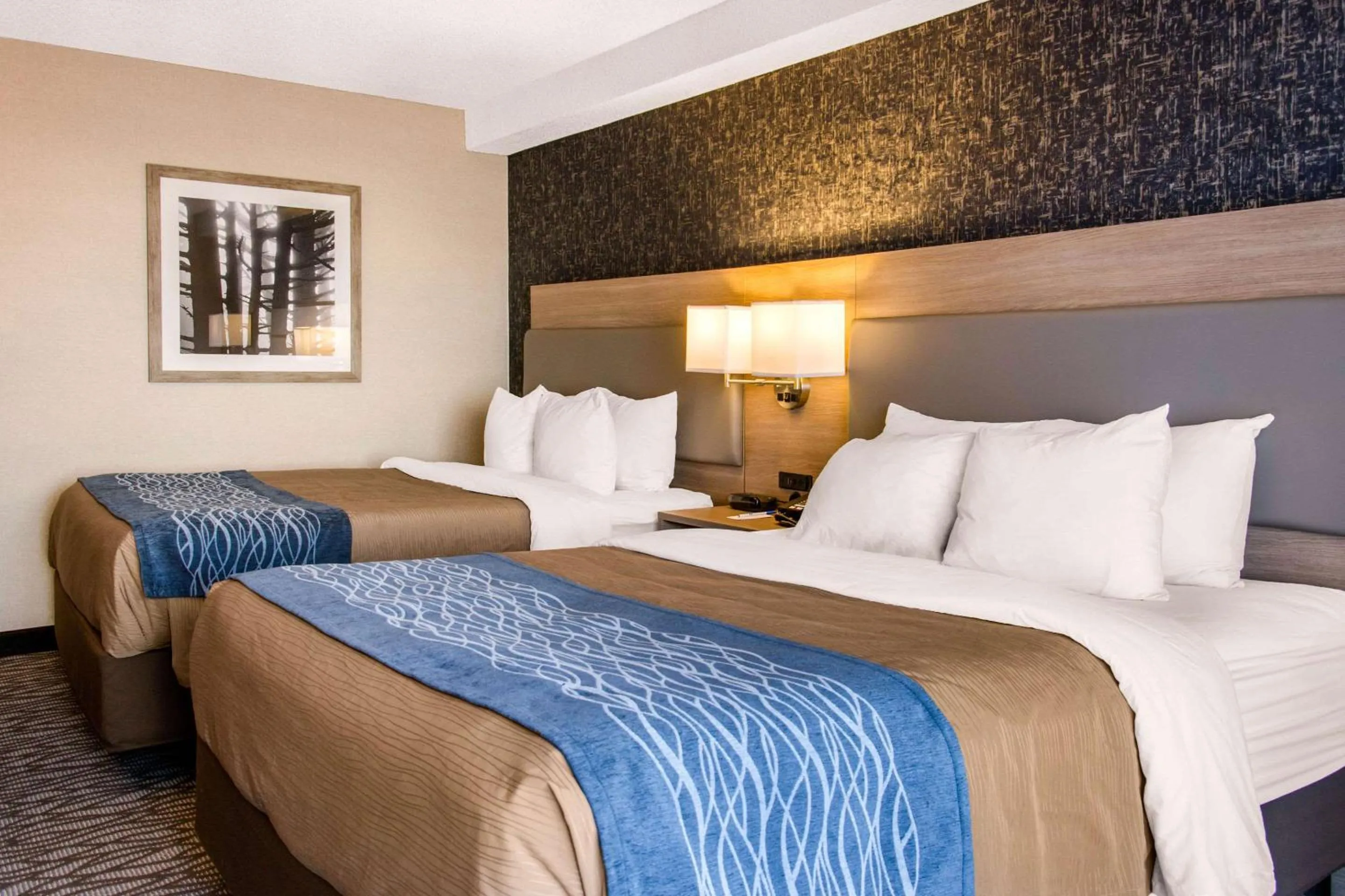 Photo of the whole room, Bed in Comfort Inn Aeroport