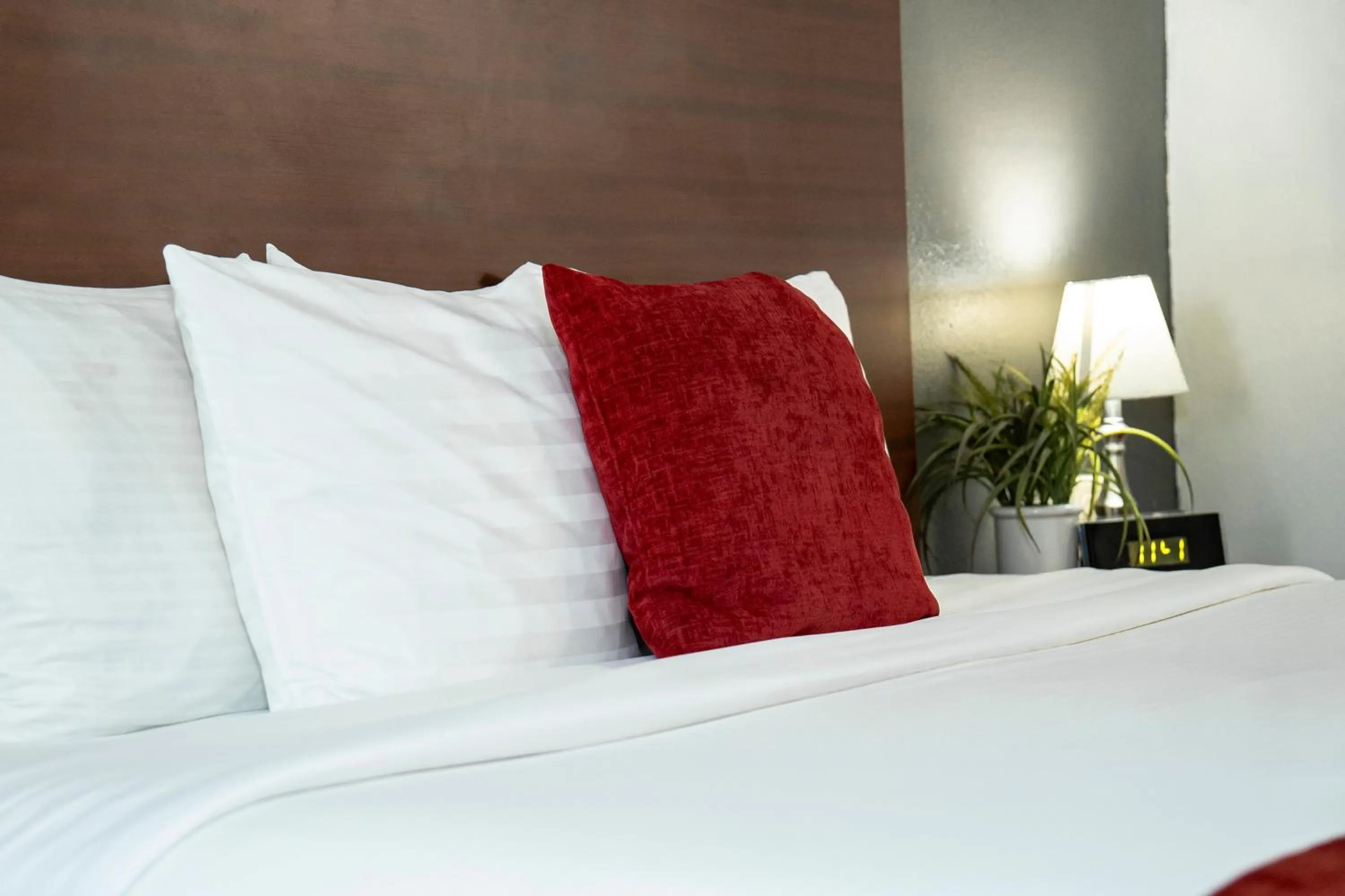 Bed in Victorian Inn & Suites-York