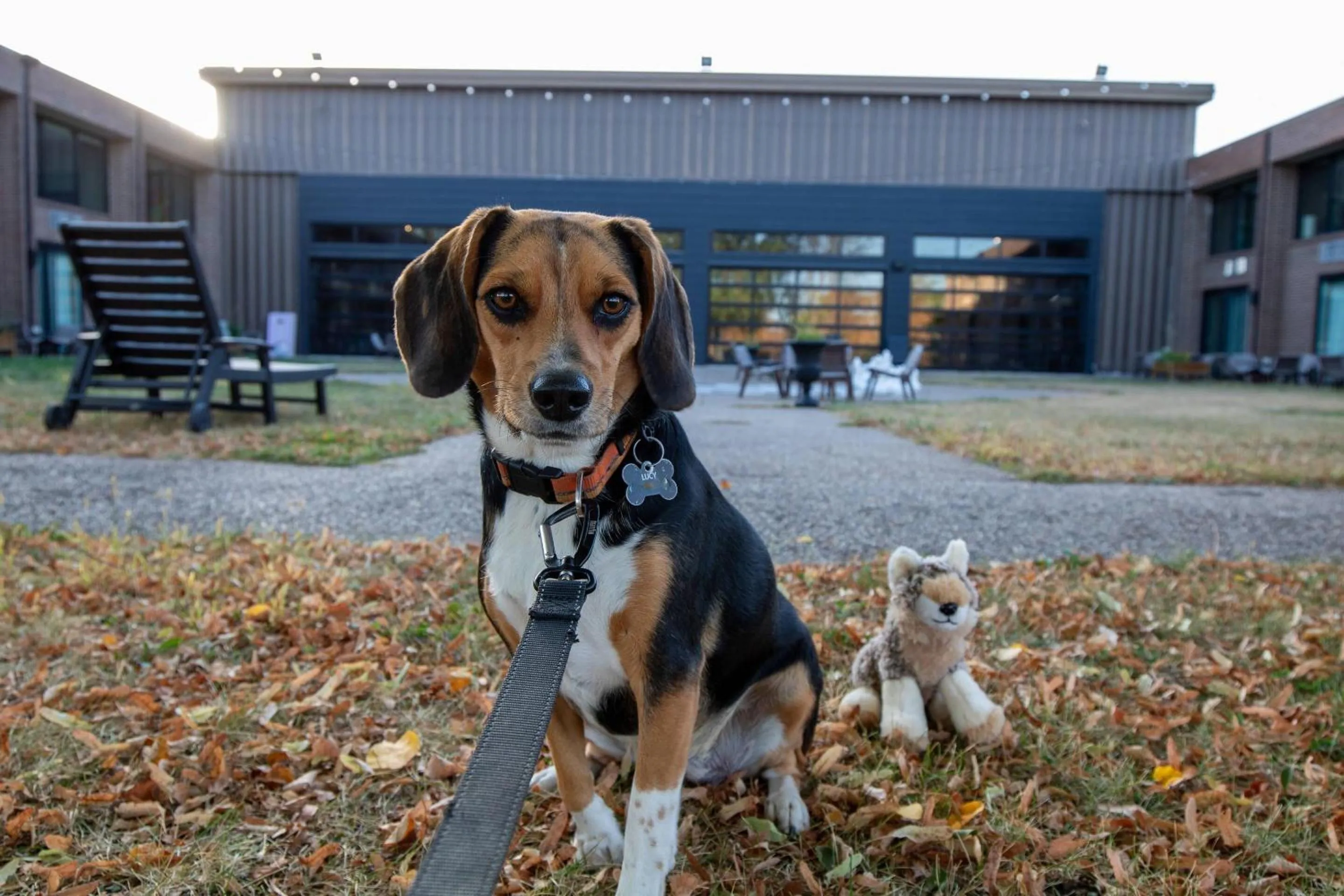 Bedroom in The Highlander Hotel, Ascend Hotel Collection