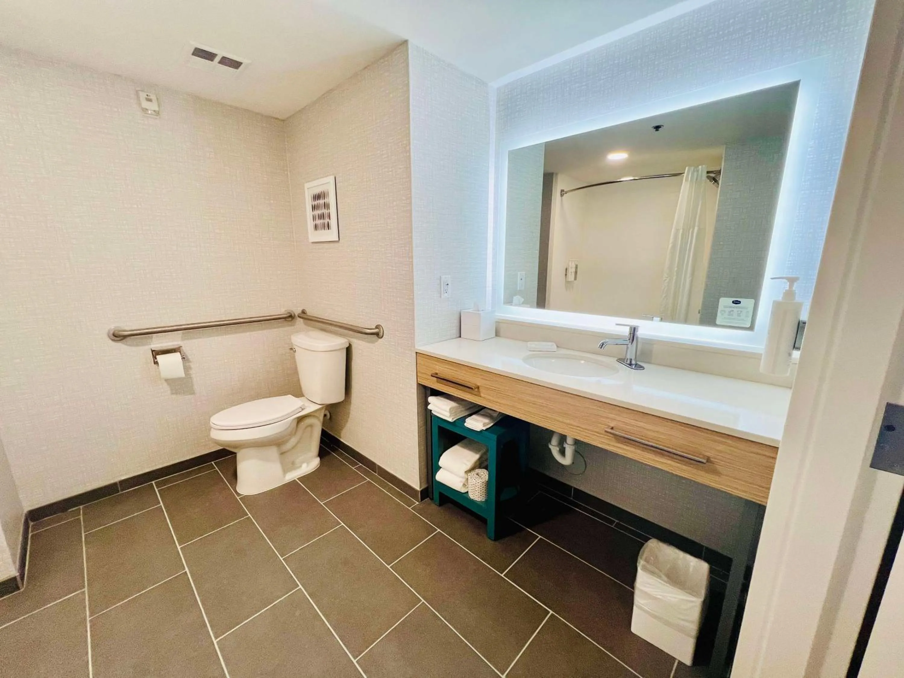 Bathroom in Hampton Inn Stony Creek