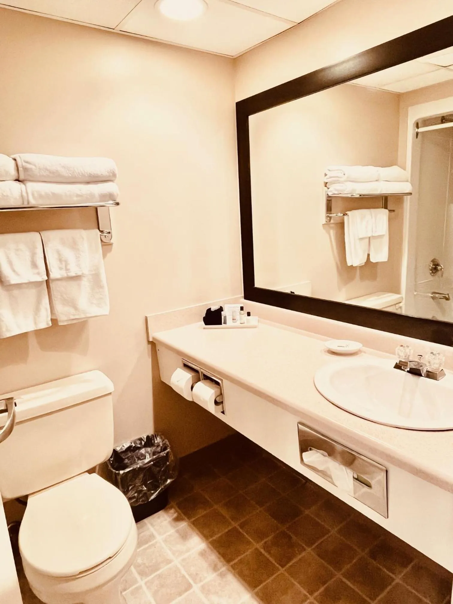 Bathroom in Royal Hotel Lloydminster