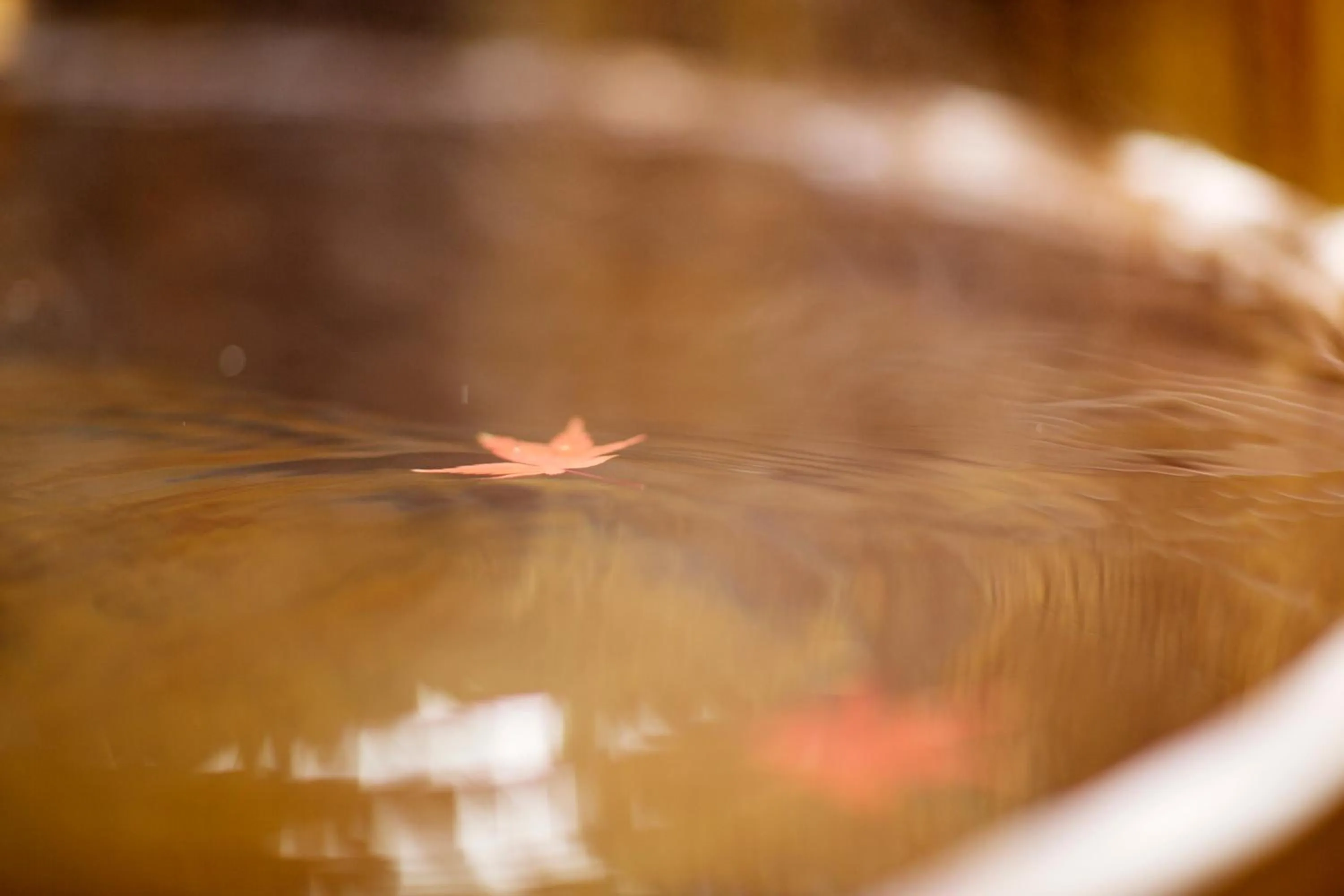 Autumn in Shima Onsen Kashiwaya Ryokan