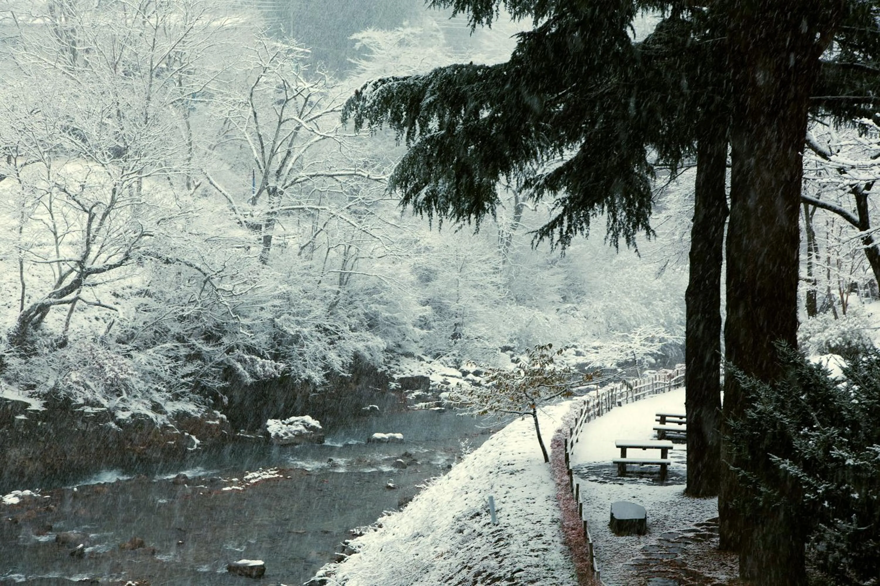 Property building in Shima Onsen Kashiwaya Ryokan