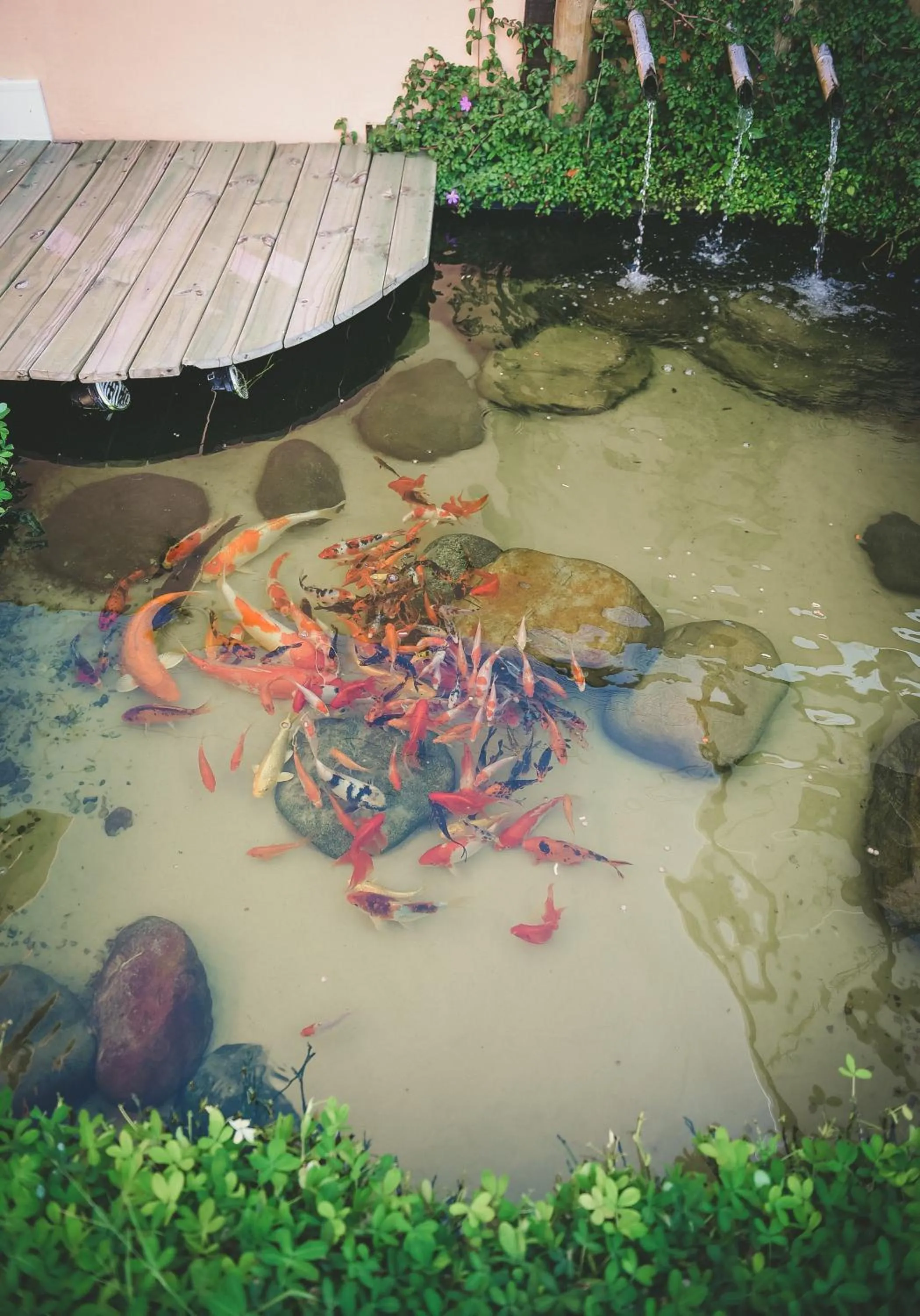 Lake view in Recanto das Carpas