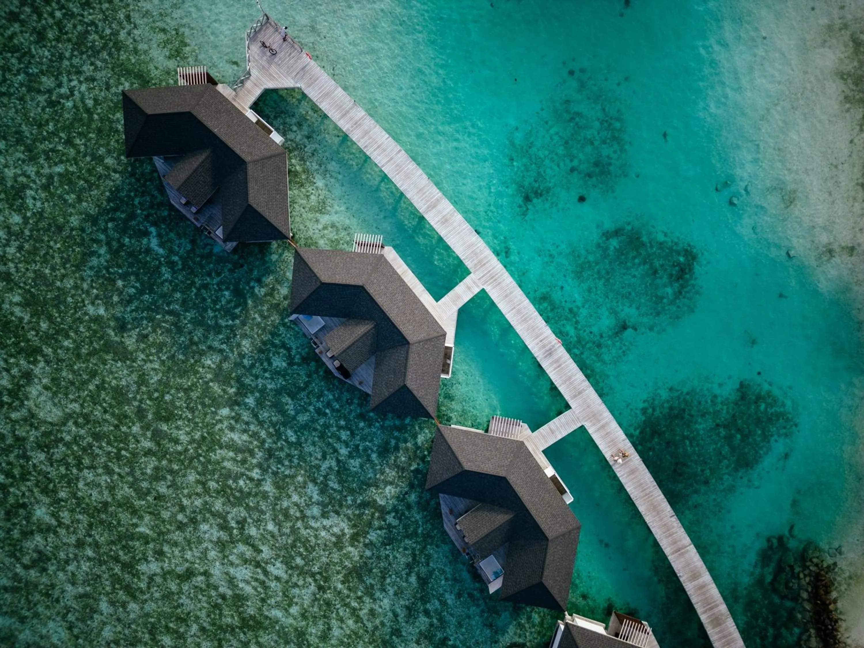 Bird's eye view in Cinnamon Dhonveli Maldives - Free One-Way Speedboat and 02 Kids Under 12 Stay & Dine Free