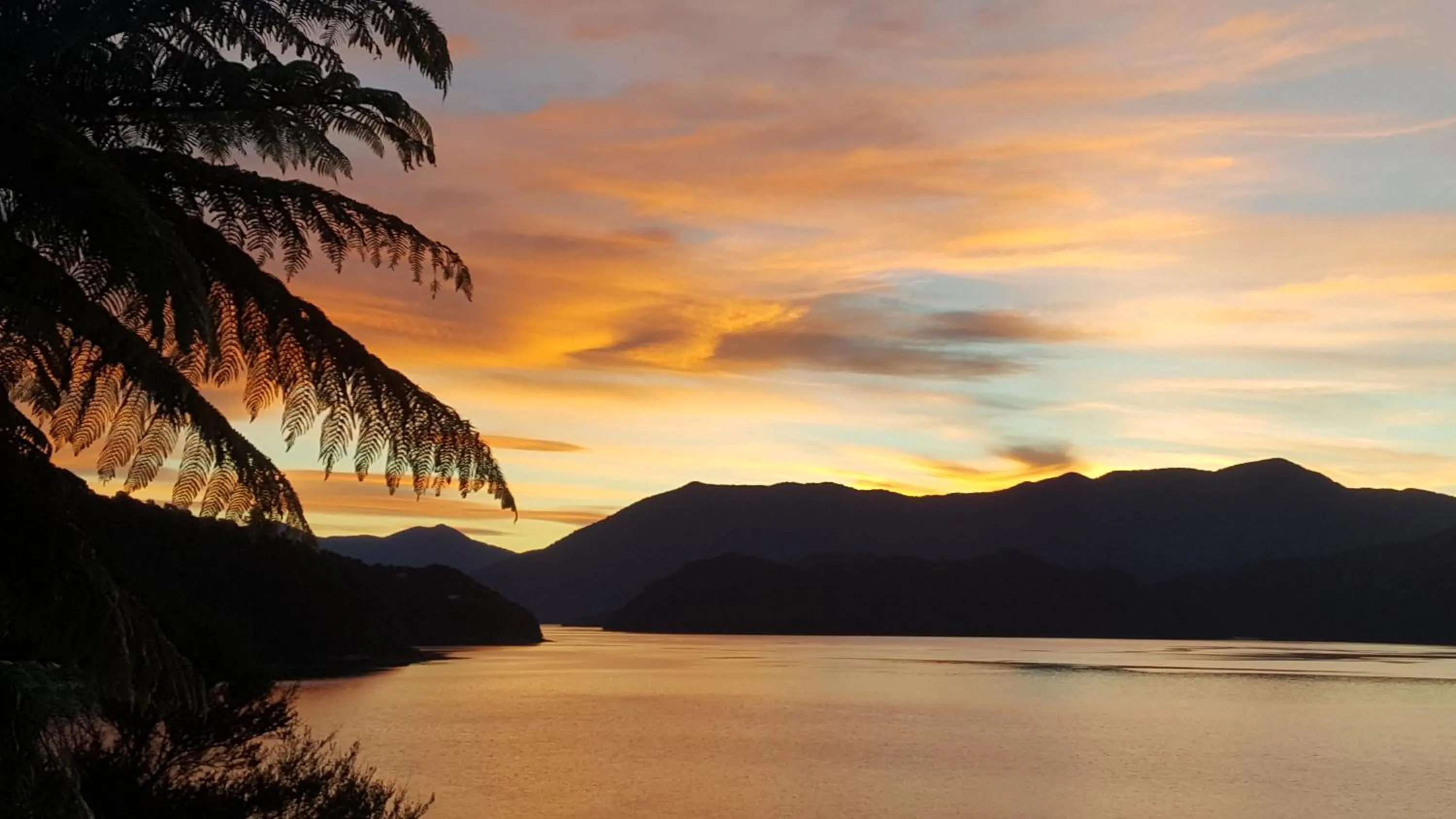 Natural landscape in The Portage Resort