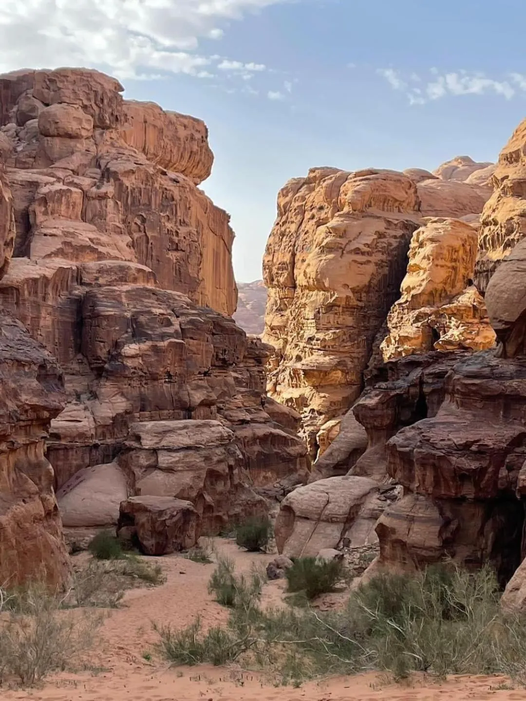 Activities in Hasan Zawaideh Camp