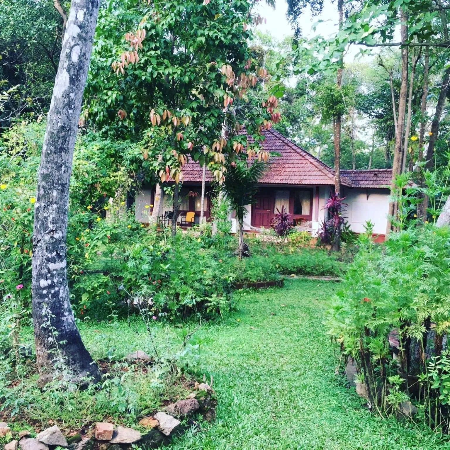 Garden in Abad Turtle Beach