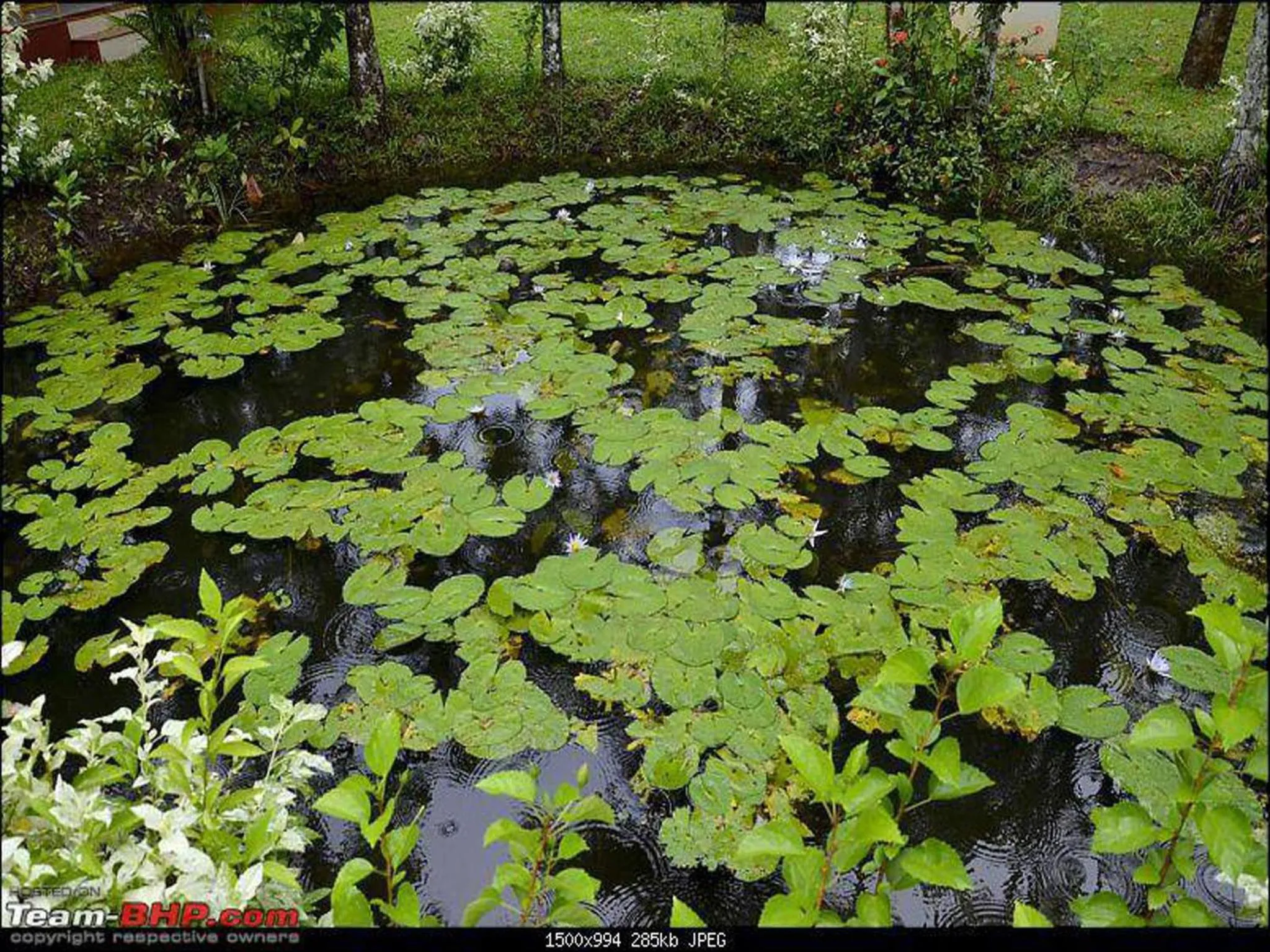 Day in Abad Turtle Beach