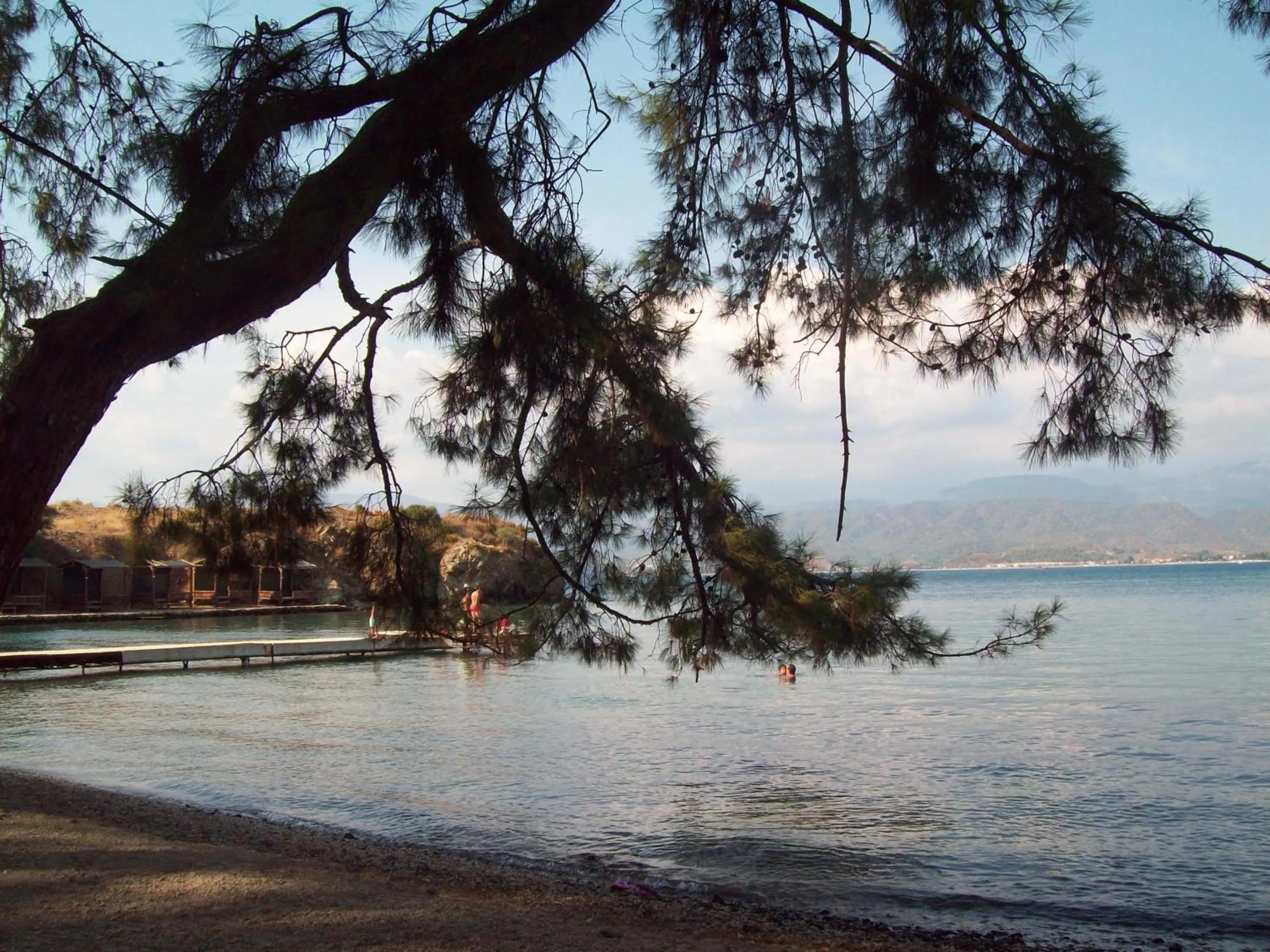 Area and facilities in Hotel Vanilla