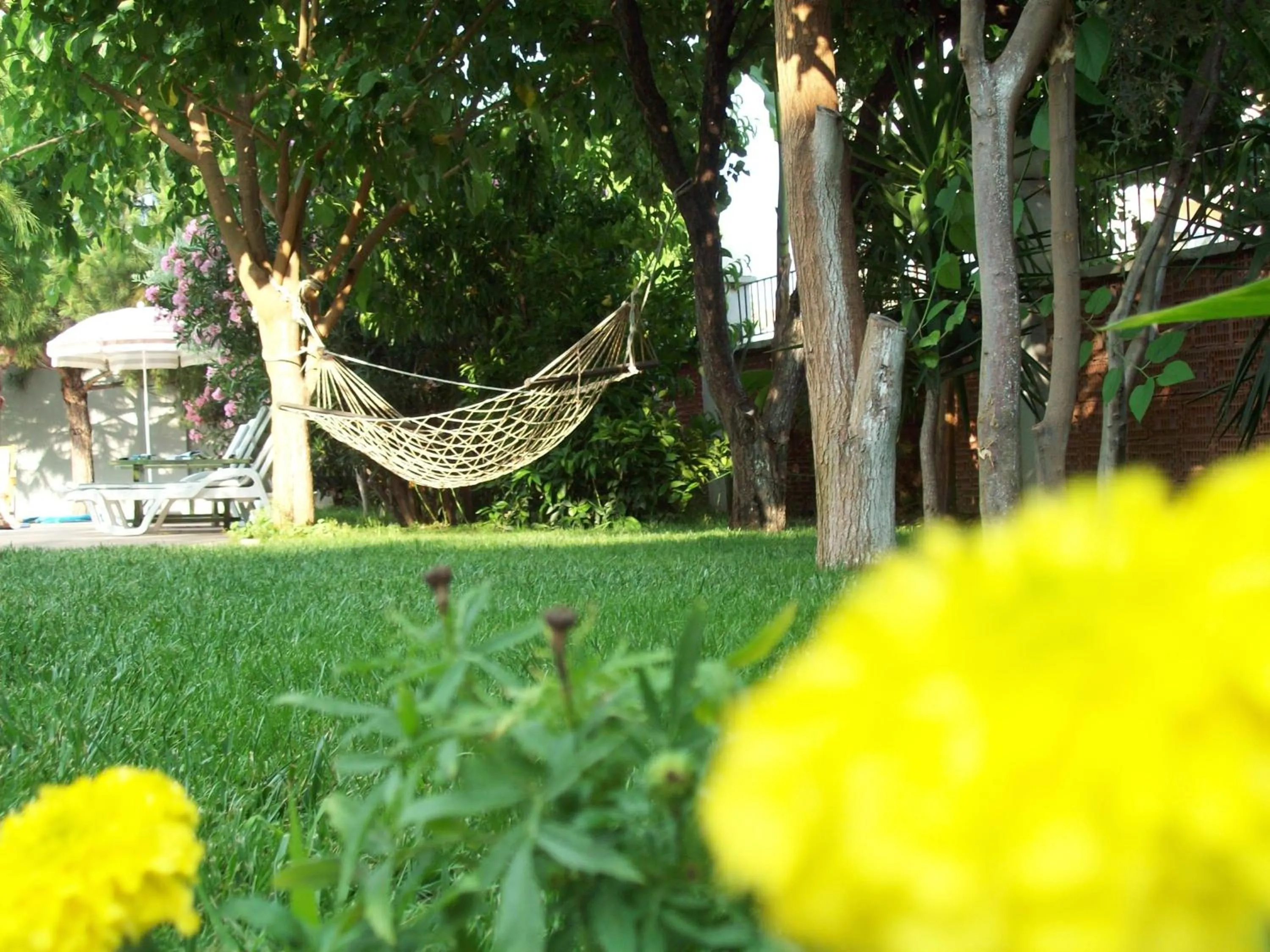 Garden in Hotel Vanilla