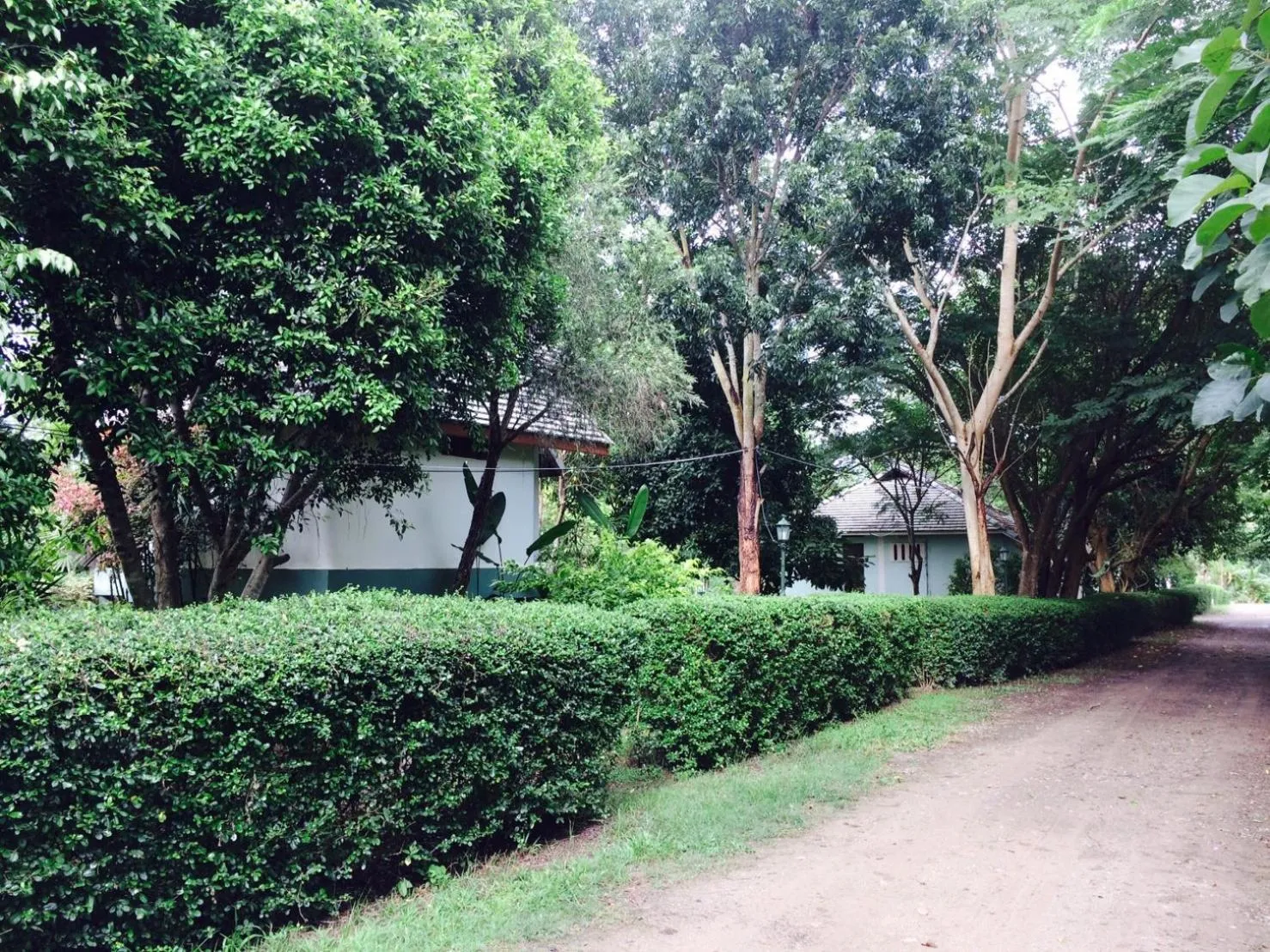 Property building in Pai Flora Resort