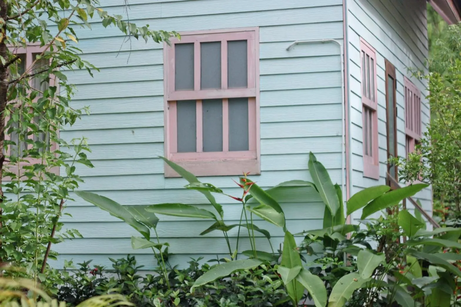 Property building in Pai Flora Resort