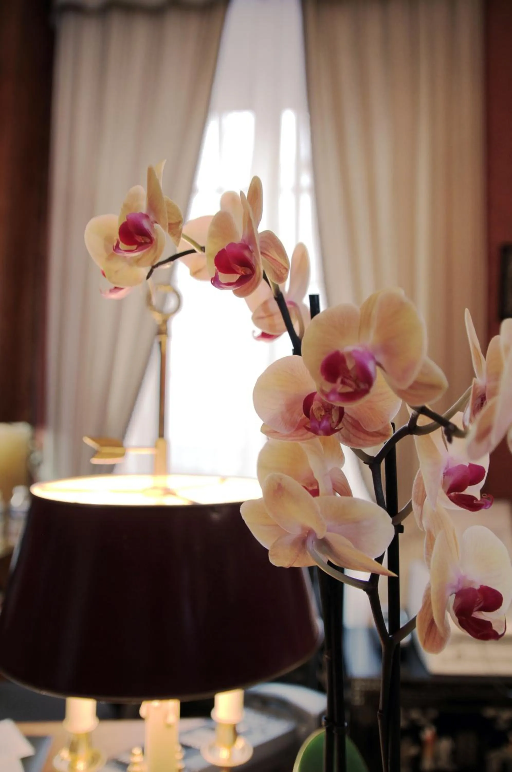 Decorative detail in Logis Hôtel Beau Site