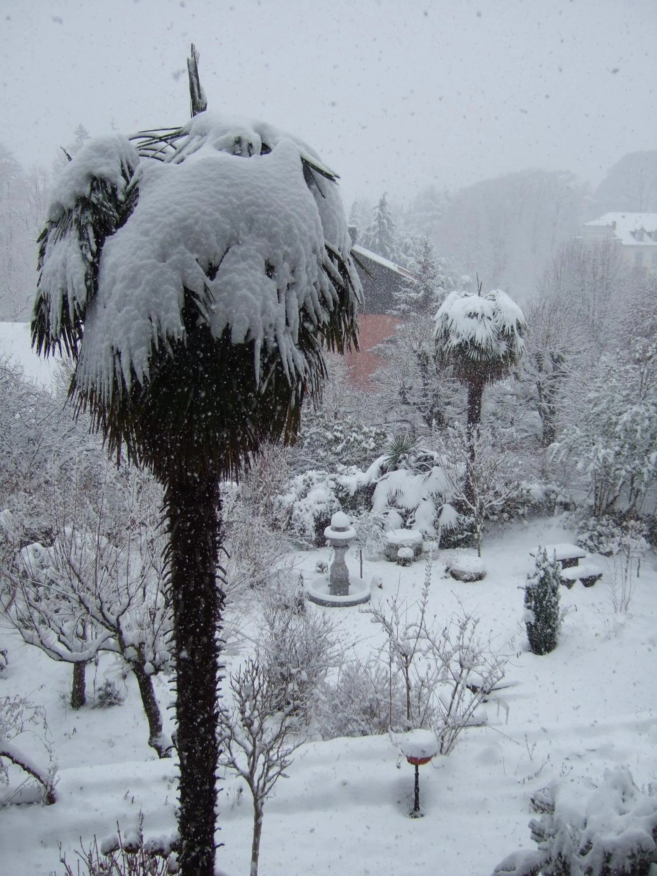 Natural landscape in Logis Hôtel Beau Site