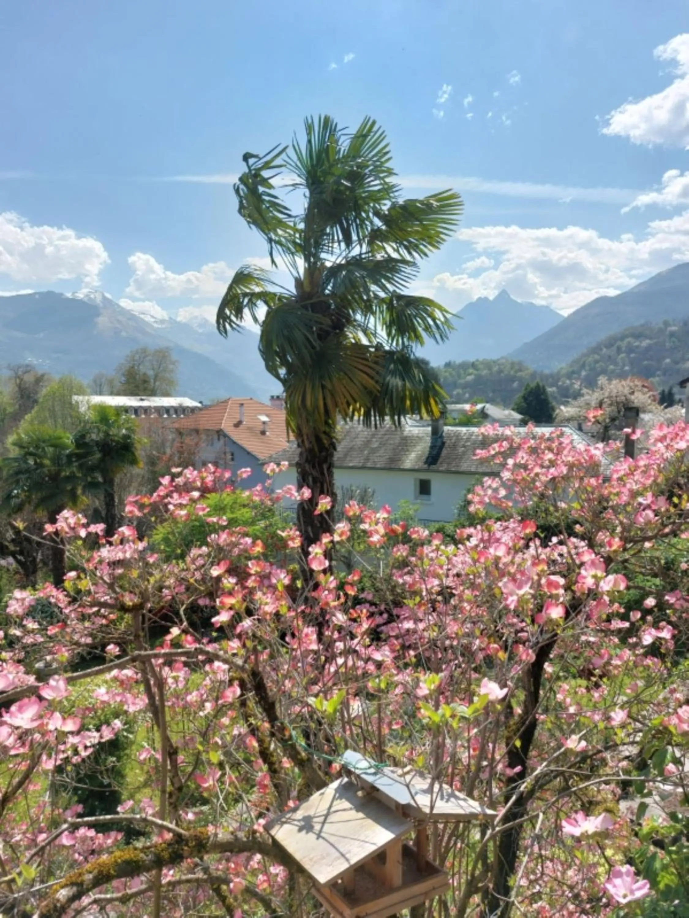 Logis Hôtel Beau Site