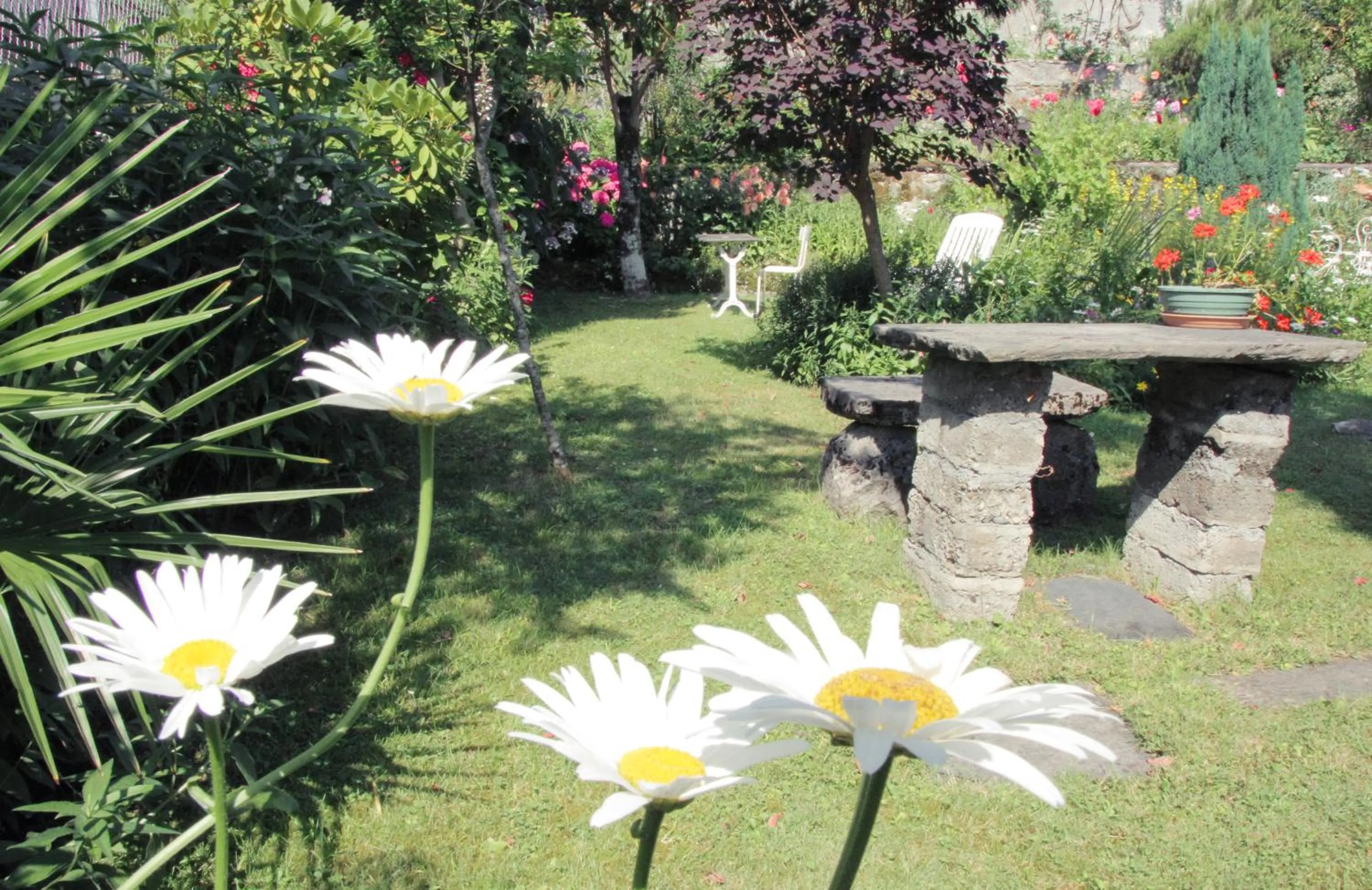 Garden in Logis Hôtel Beau Site