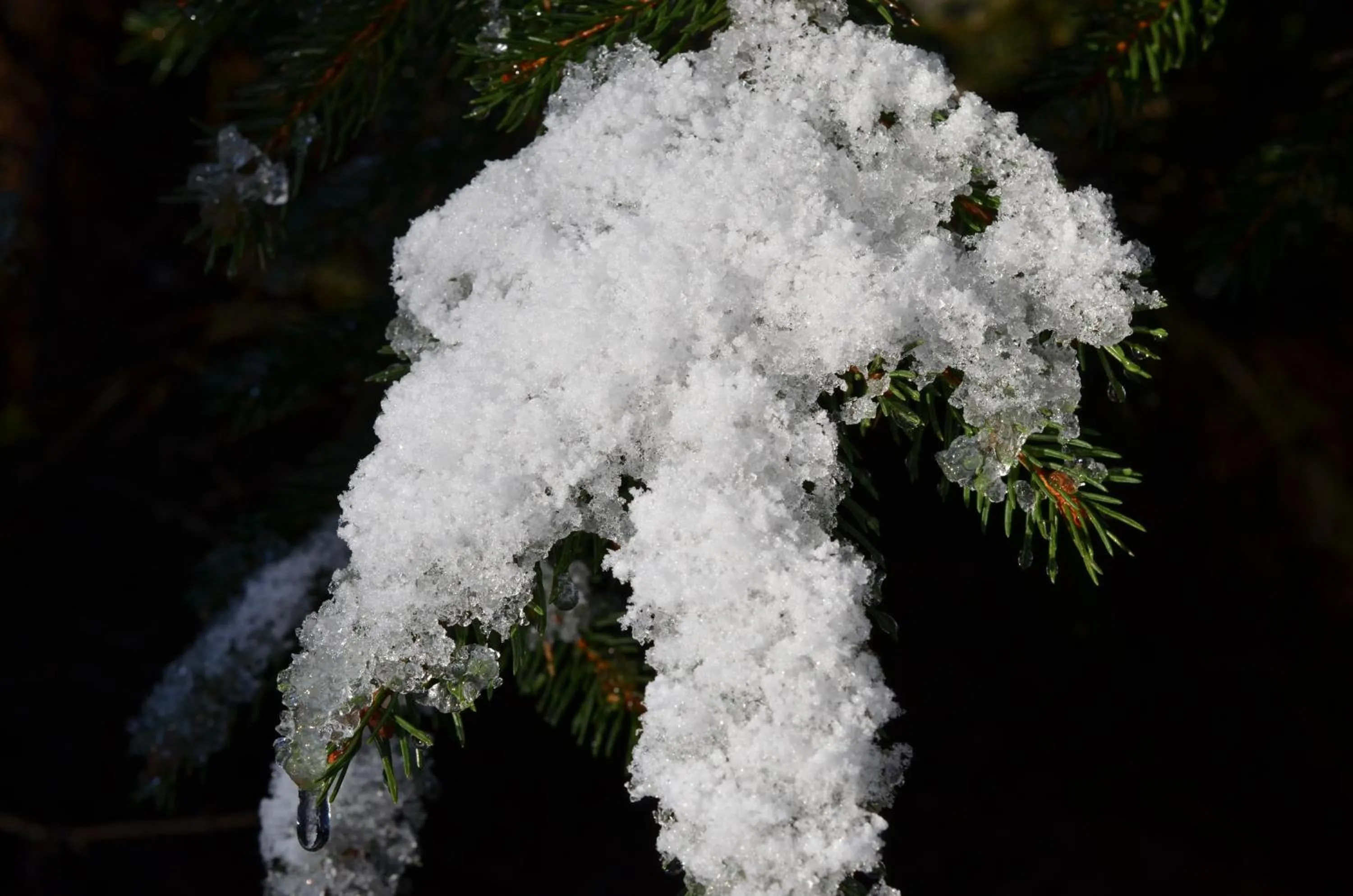 Winter in Hotel Wieser