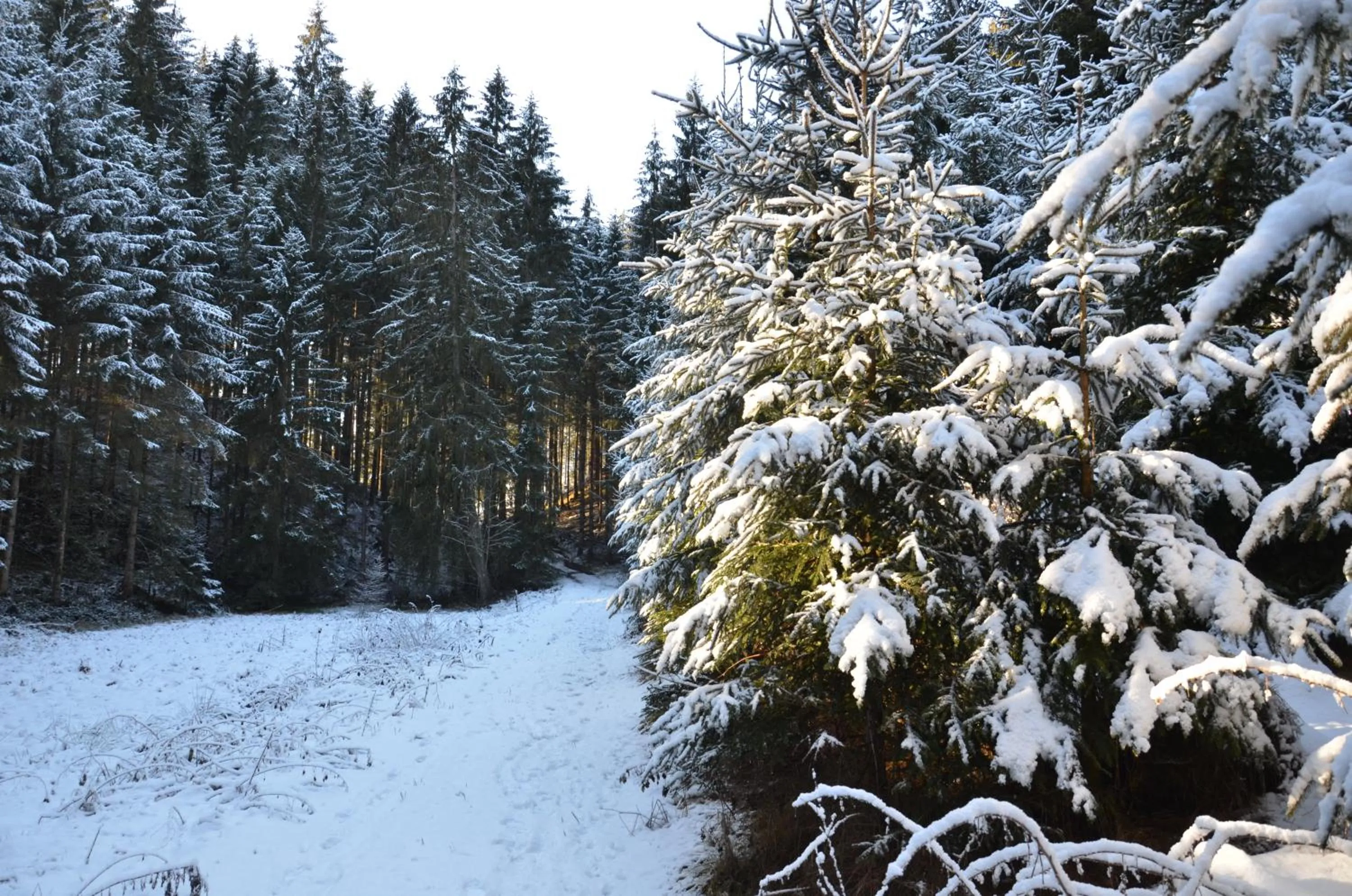 Winter in Hotel Wieser