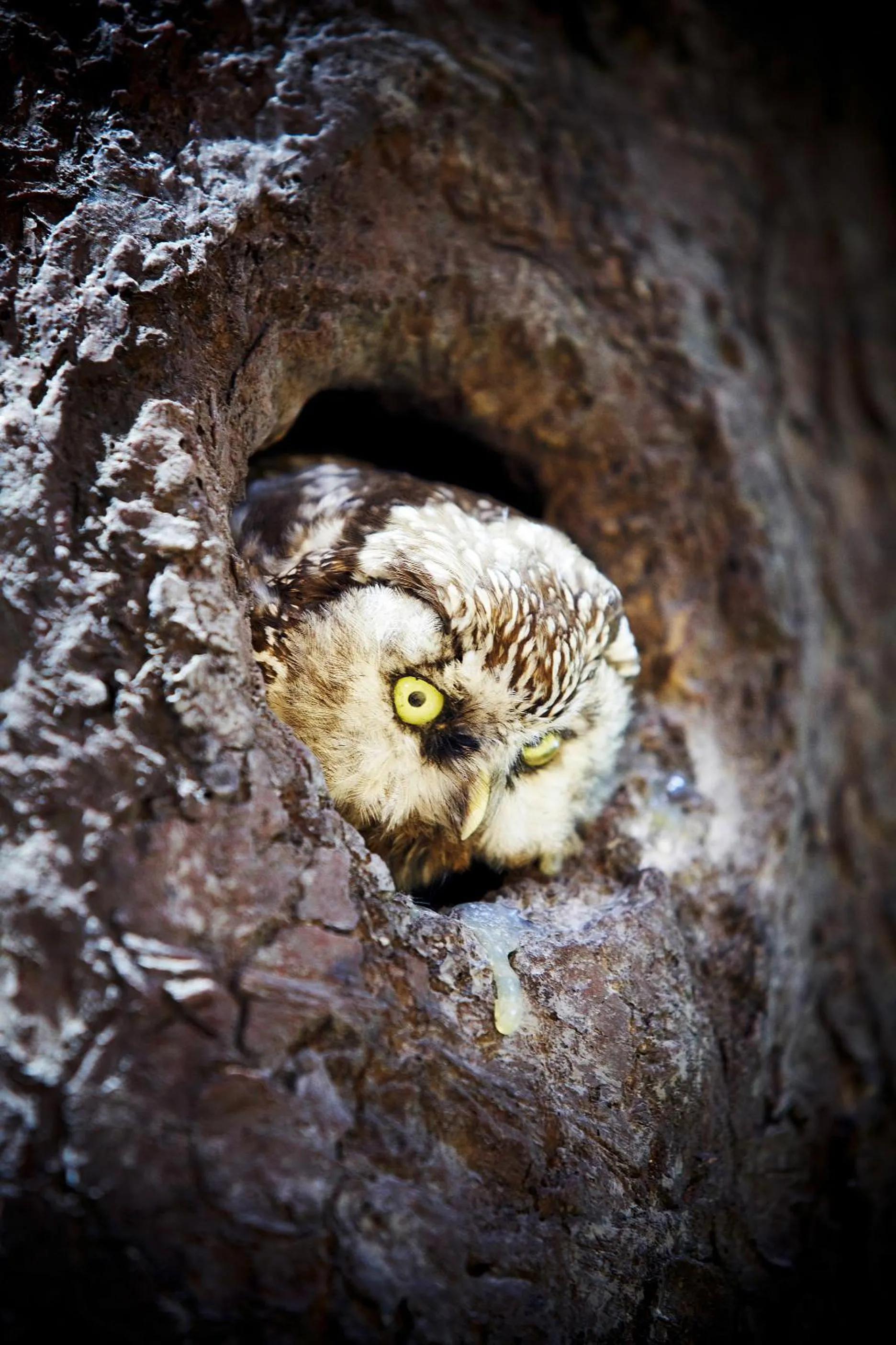 Winter in Hotel Wieser