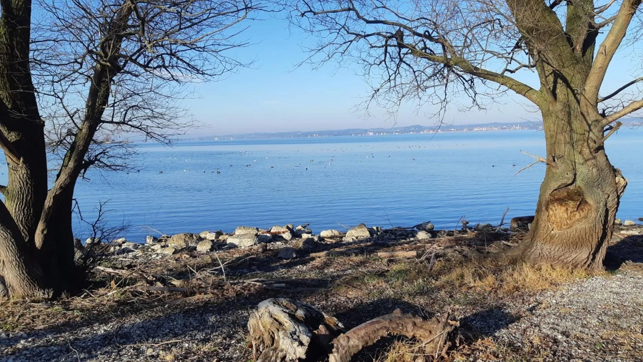 Natural landscape in Hotel am See