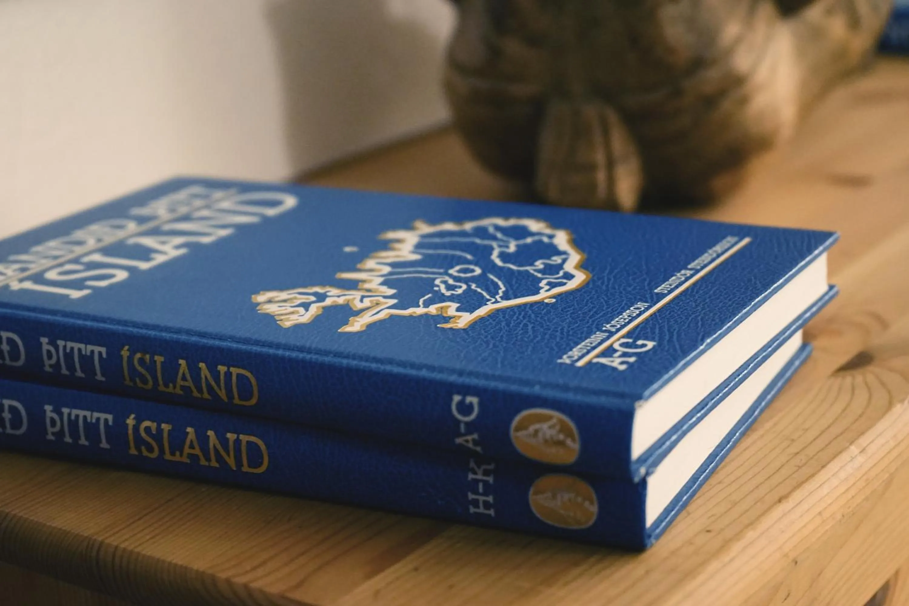 Activities in Tehúsið Hostel