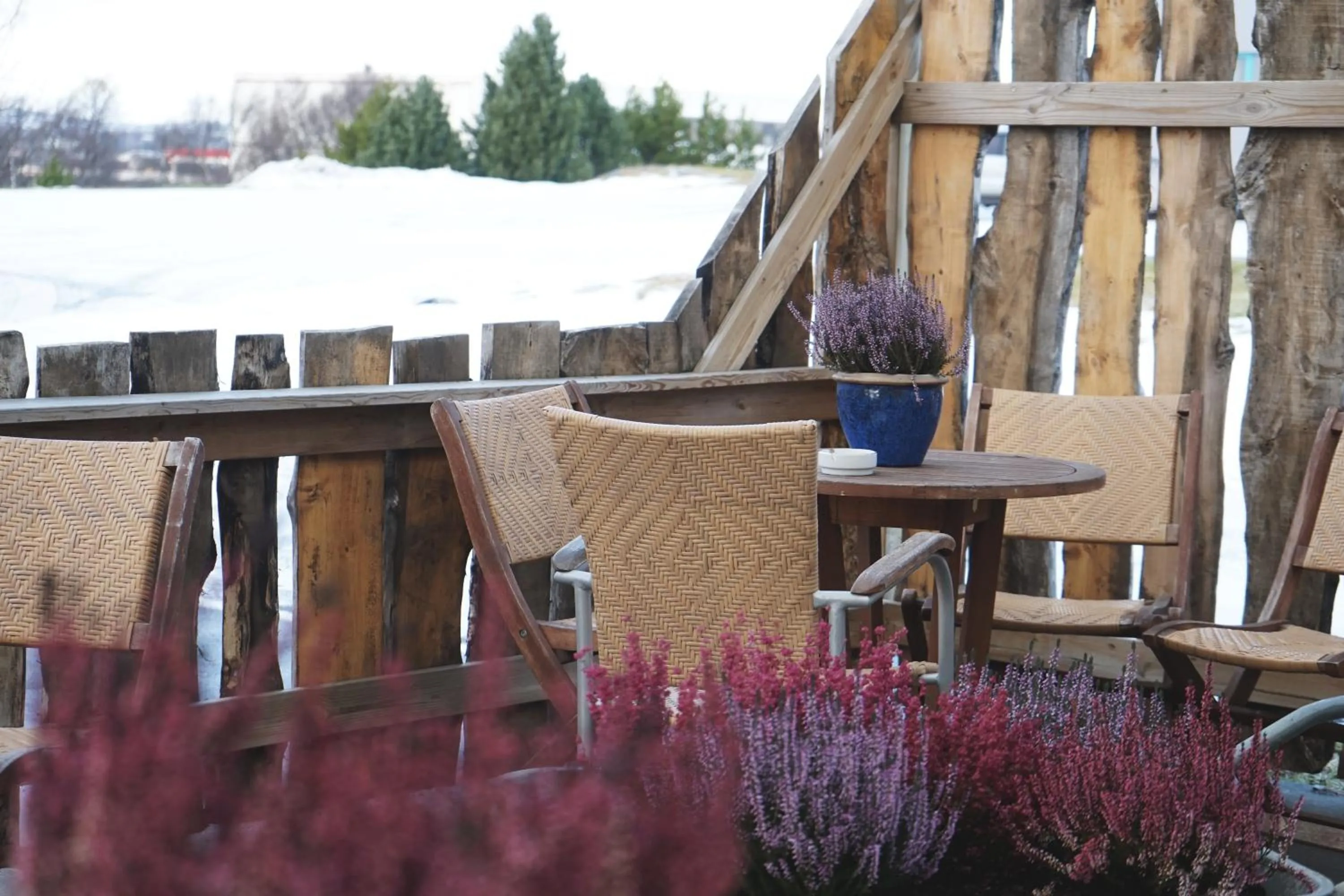 Patio in Tehúsið Hostel