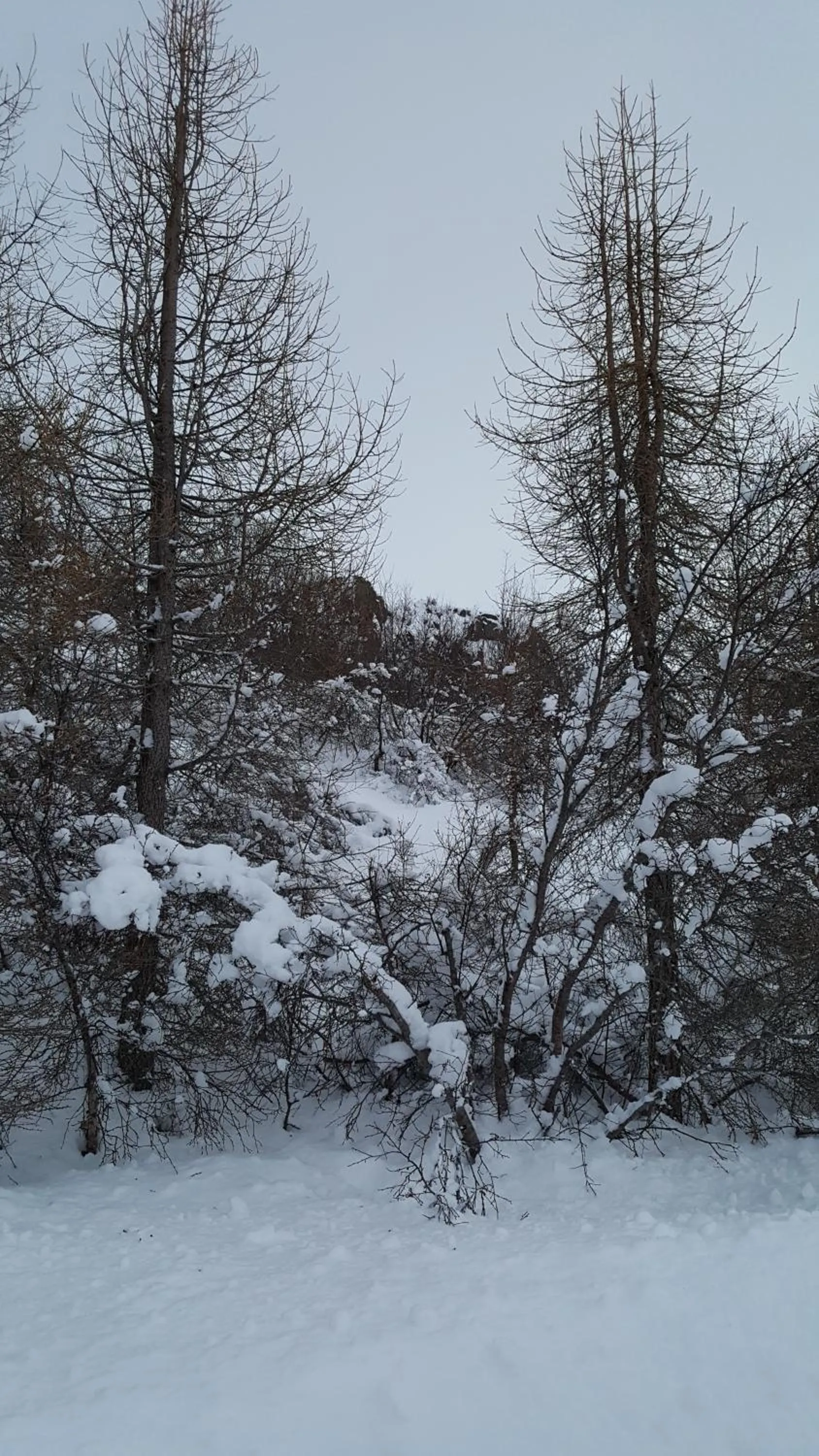 Natural landscape in Tehúsið Hostel