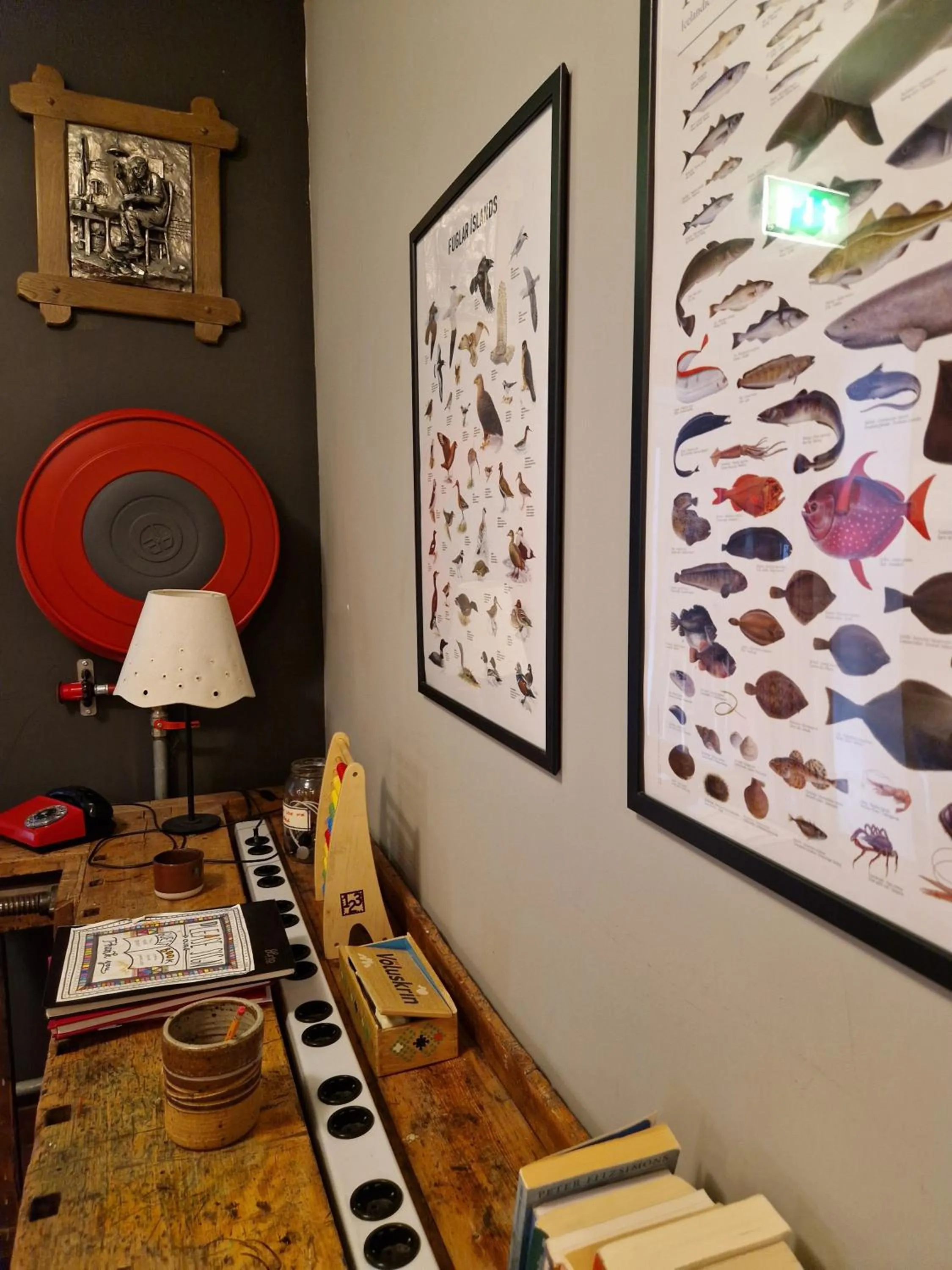 Property building in Tehúsið Hostel