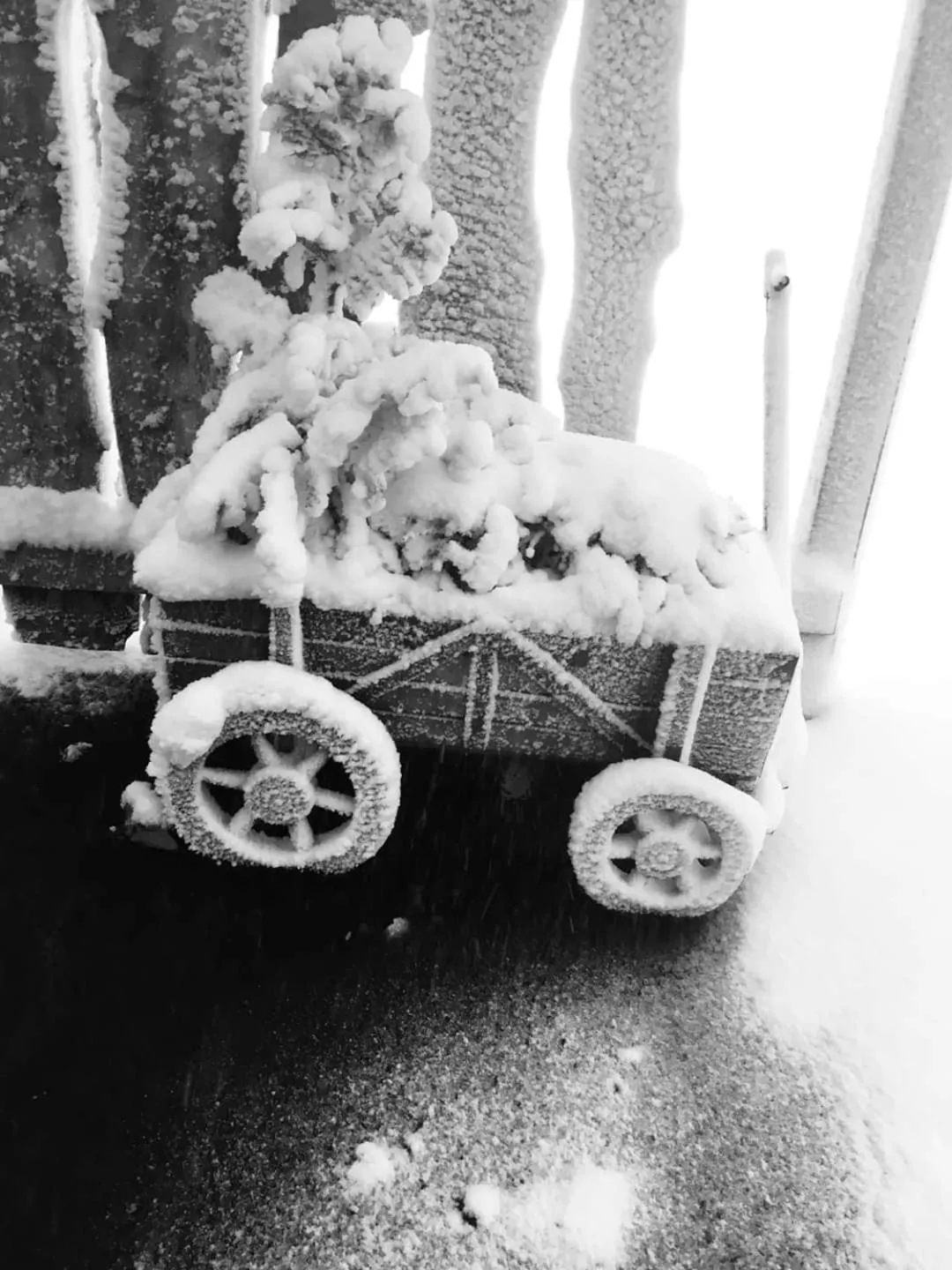 Winter in Tehúsið Hostel