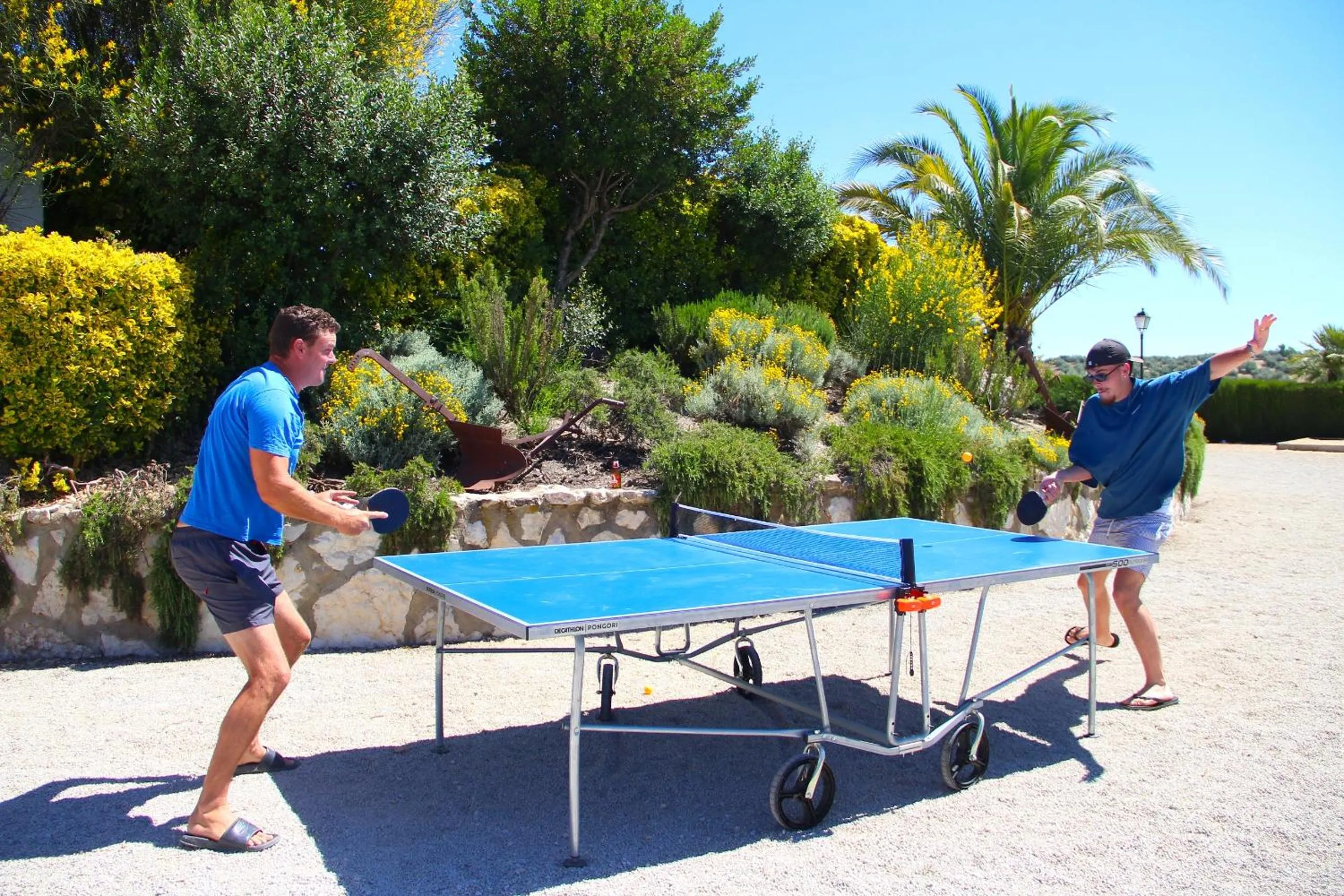 Activities in Cortijo La Presa