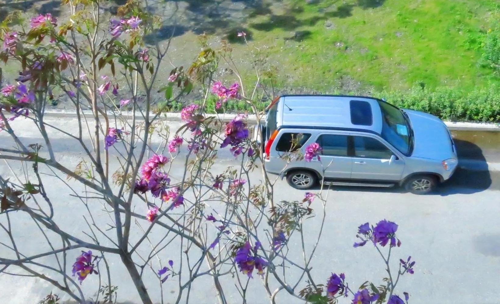 Garden view in Tiin Tinn - Rivershore B&B