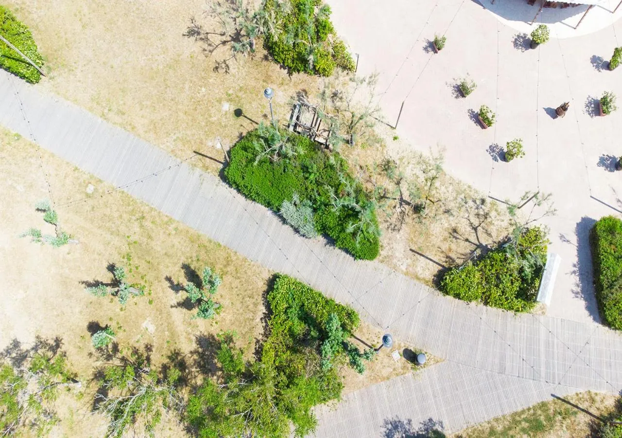 Hotel Paloma Beach Front Chiringuitos Time