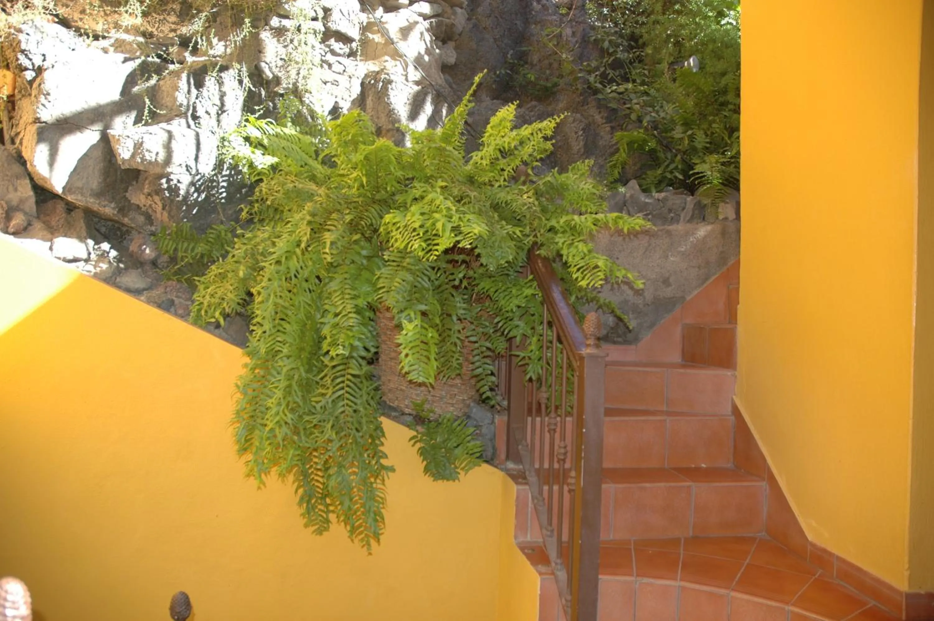 Garden in Hotel Jardín Concha
