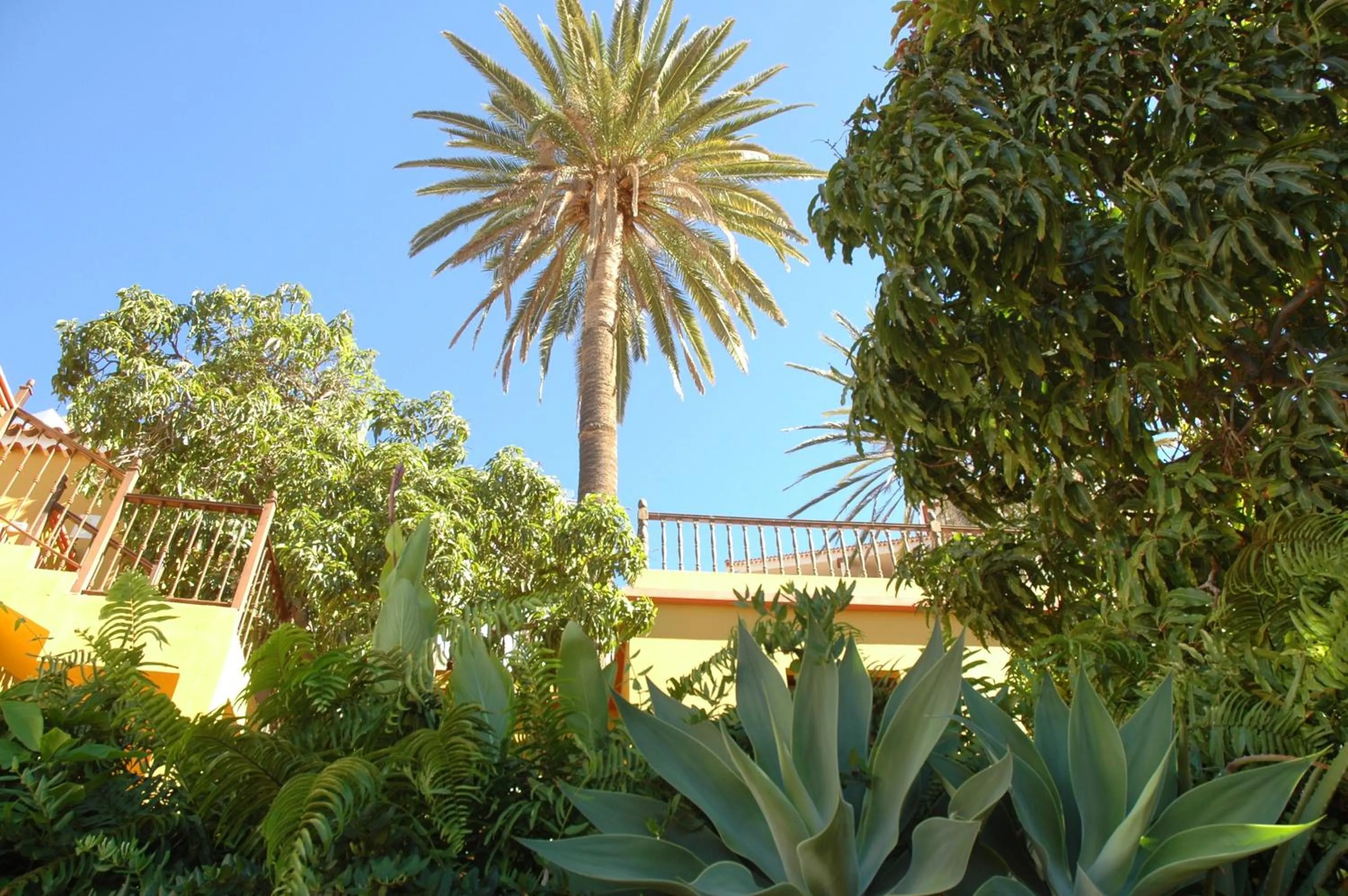 Garden in Hotel Jardín Concha
